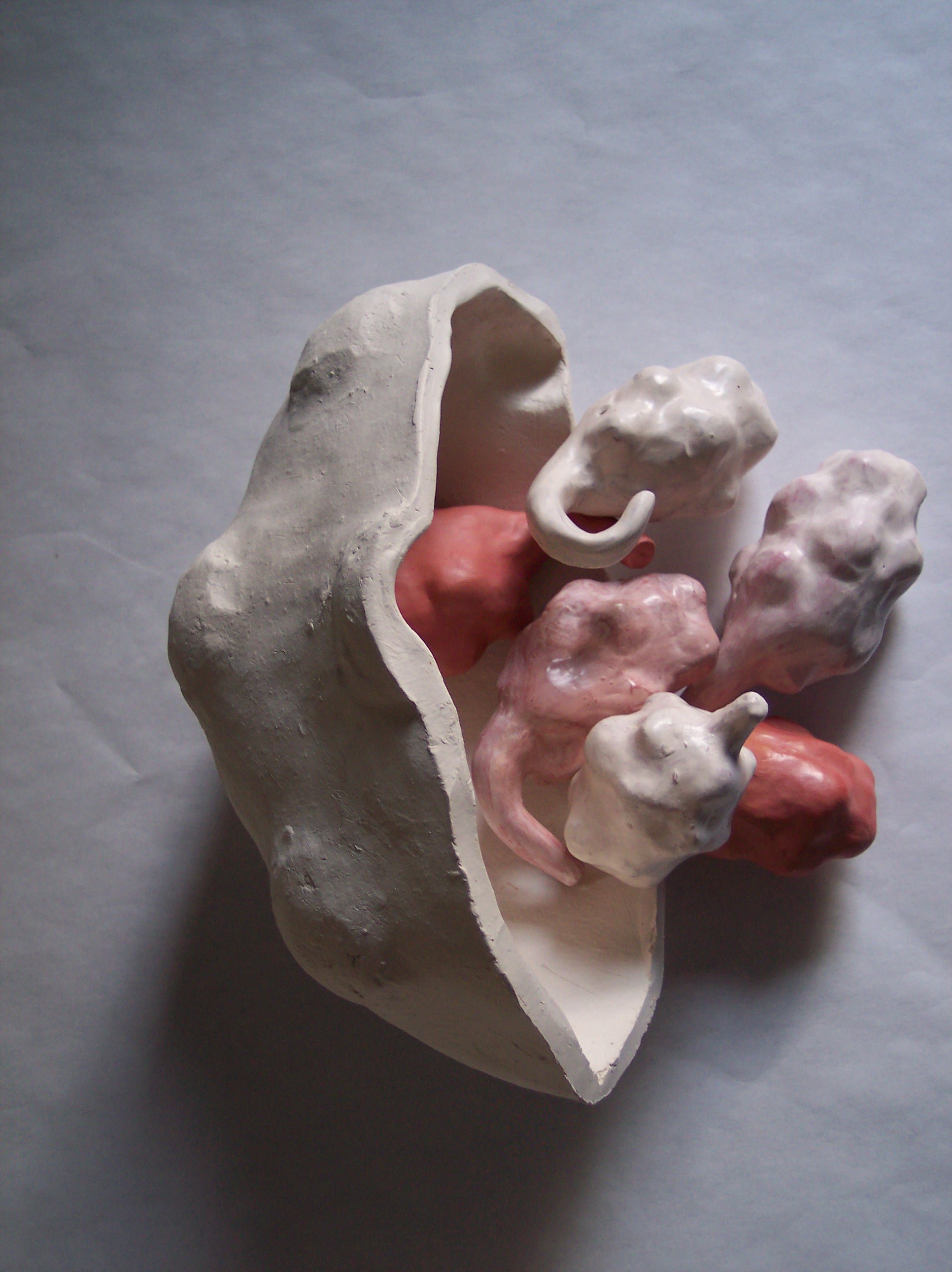 Ovaries I, 2011
Low fire earthenware, Terra sigillata
Dimensions: variable