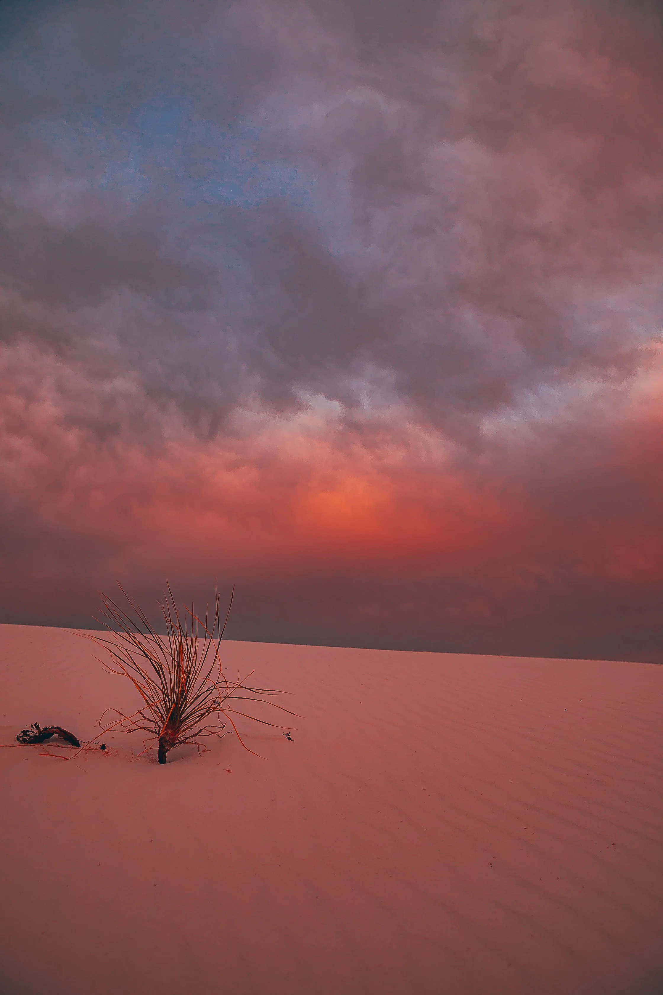 HH5D9837-2.jpg