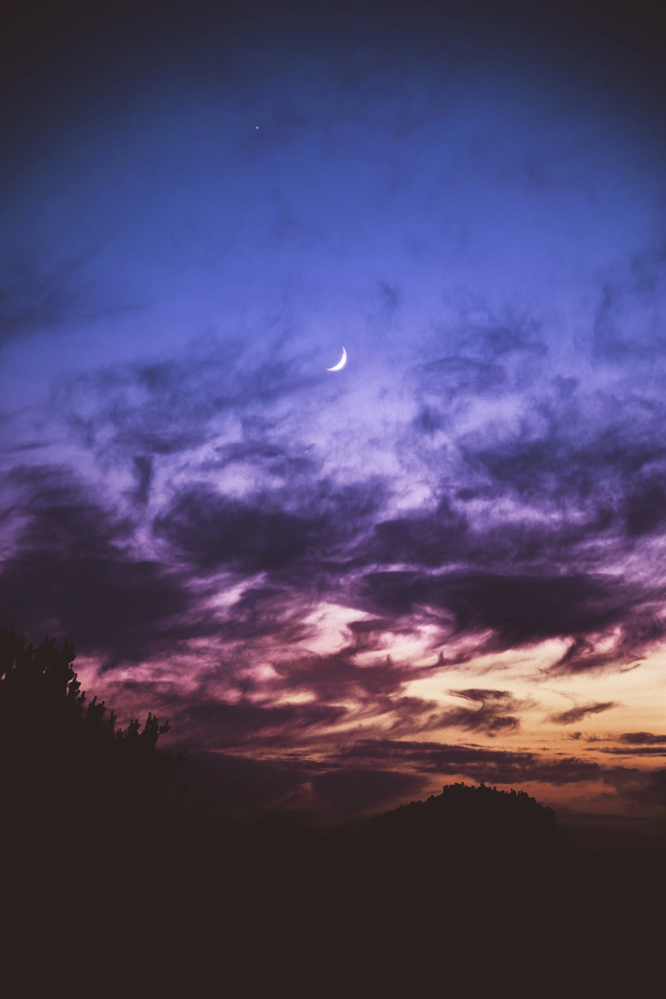Violet Twilight.jpg