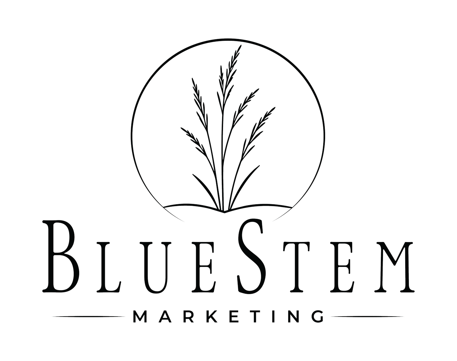 BlueStem Marketing