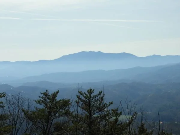 A scenic view of distant mountains with a few trees in the foreground.