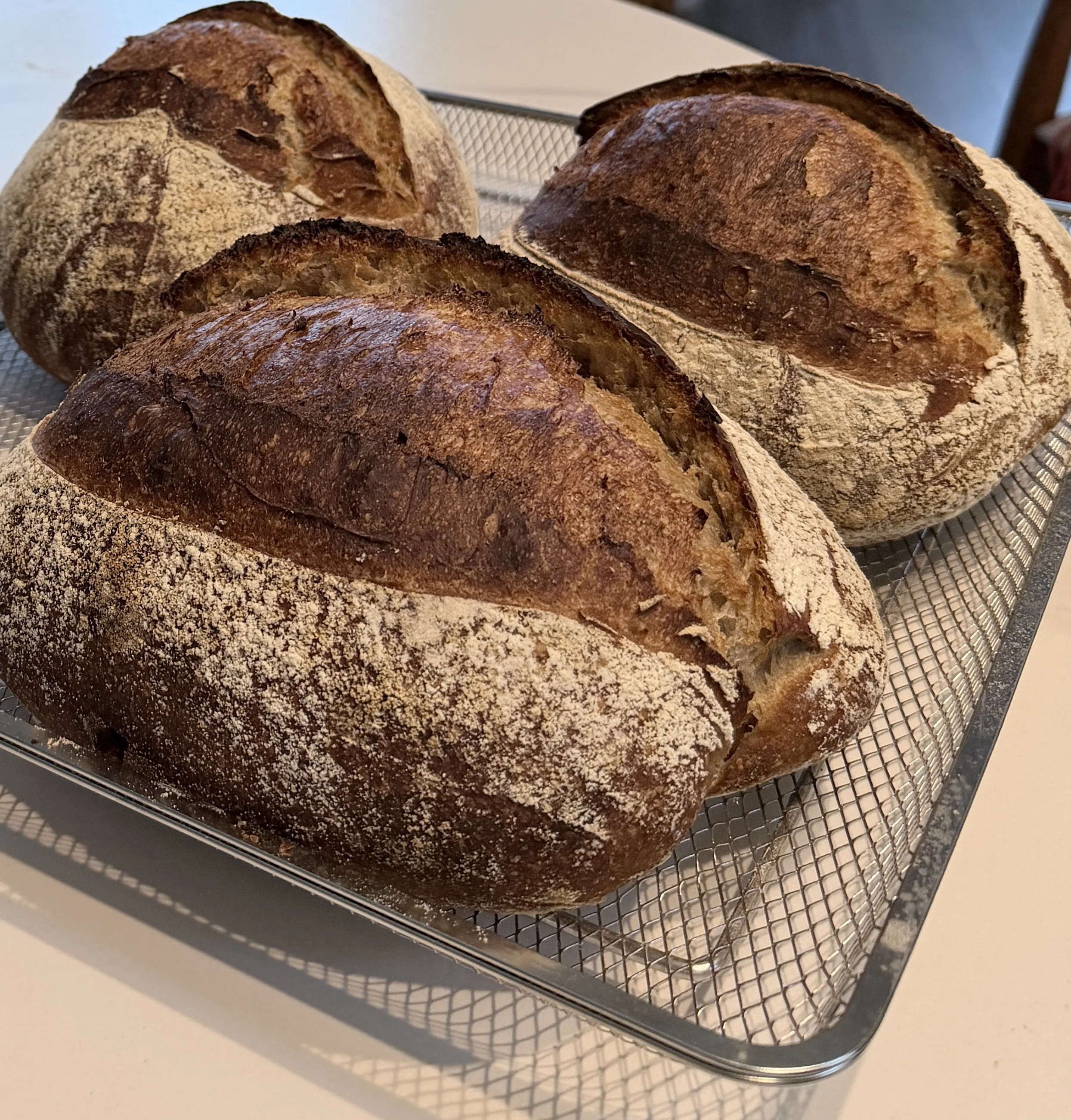 Sourdough Country Bread