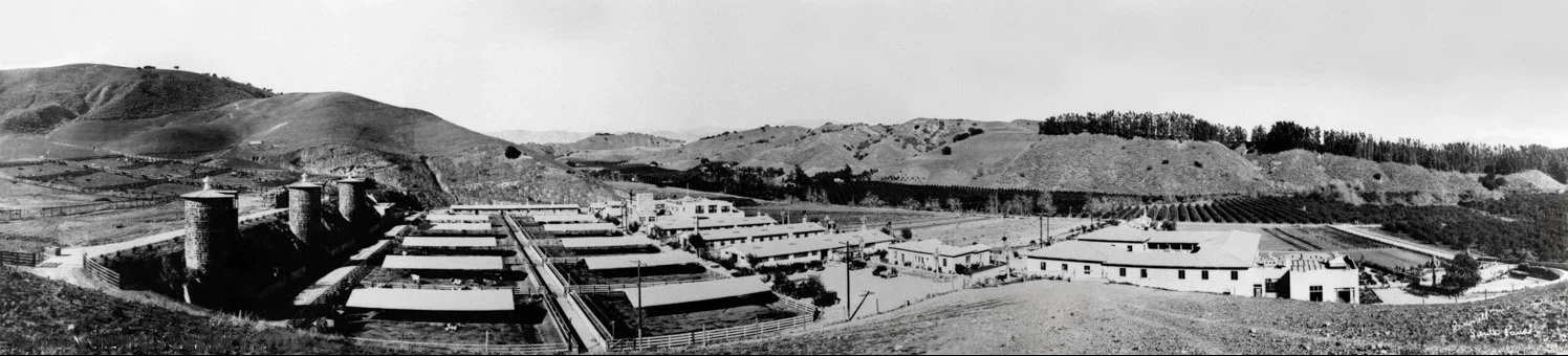 Billiwhack Stock Farm in the 1920s, with the silos, agricultural buildings, and surrounding hills still defining the site today.