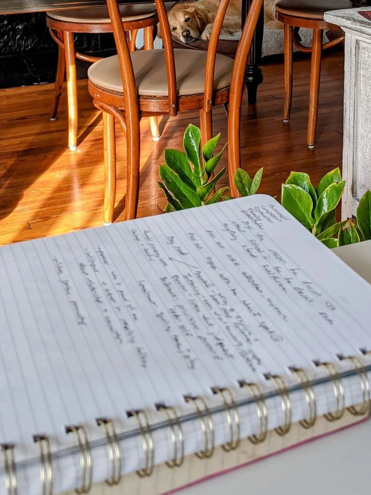 A notebook with handwritten notes, a potted plant, a dining table with wooden chairs, and a dog resting on a seat in the background.