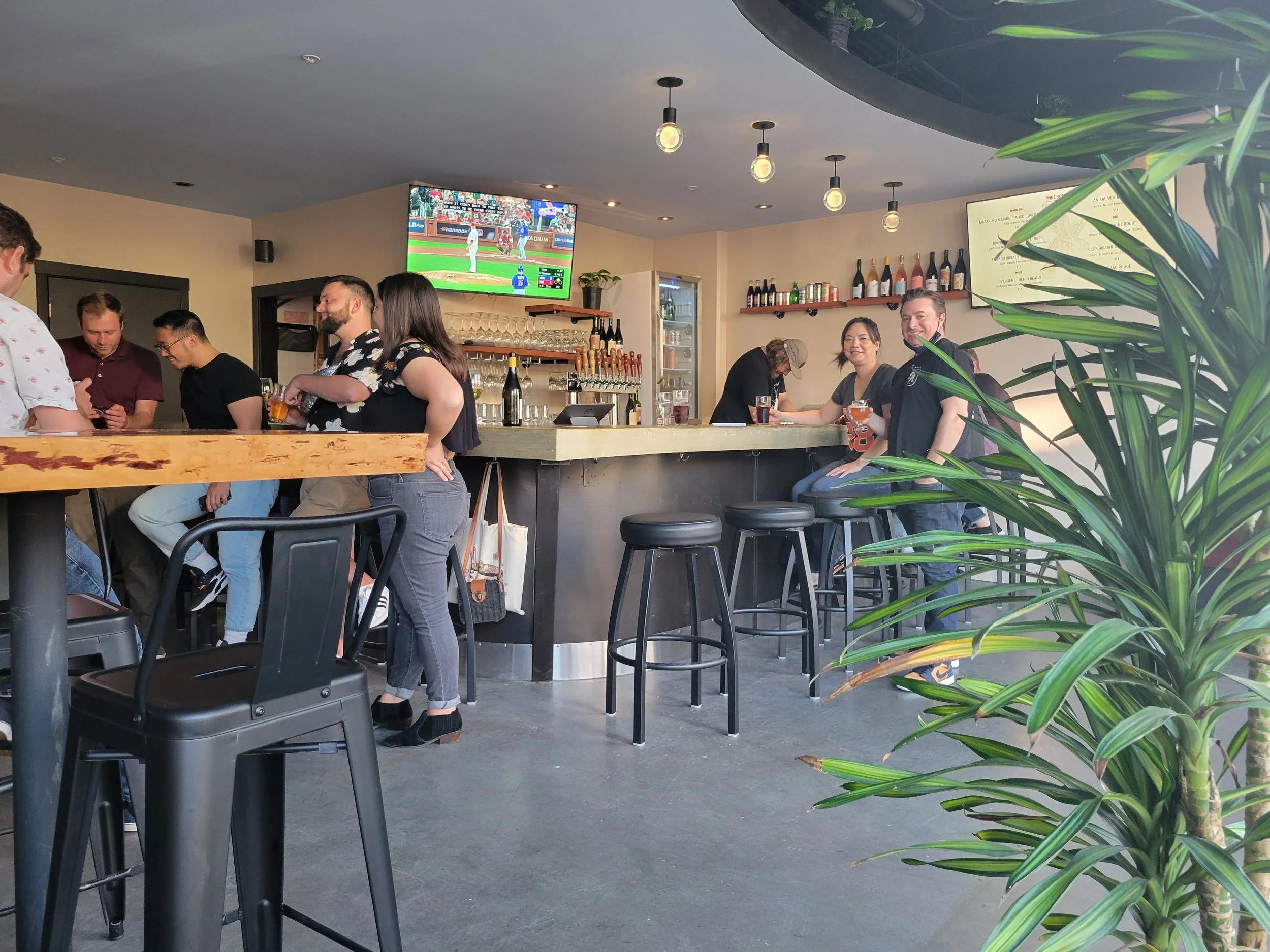 Inside a bar or restaurant with several people, some are standing and chatting near the bar counter, with a television showing a baseball game and shelves with bottles and glasses in the background. Green plants partially cover the right side of the 