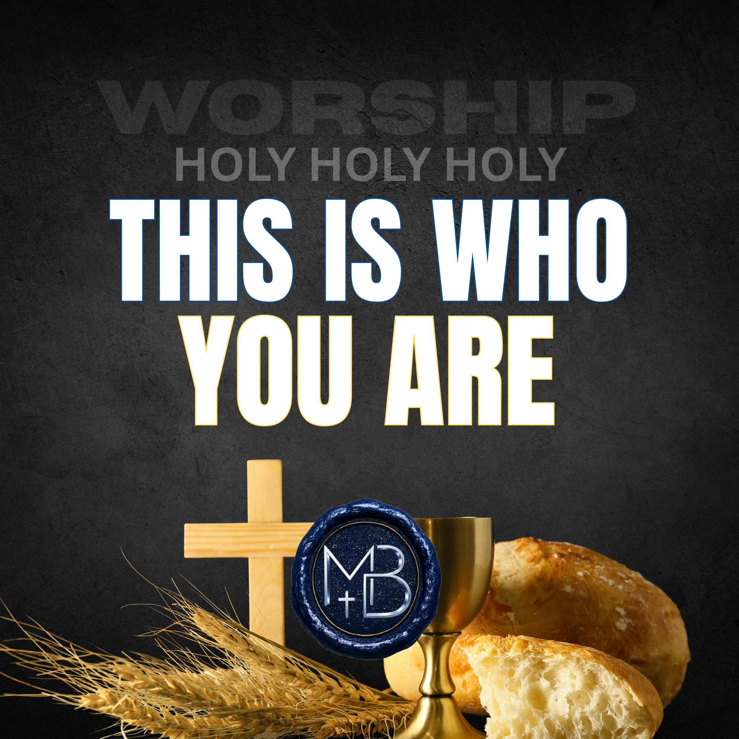 This is who You Are - character of god - christian worship music - christian content - reverent - peacful - slow and calm - malachi ben-david.png