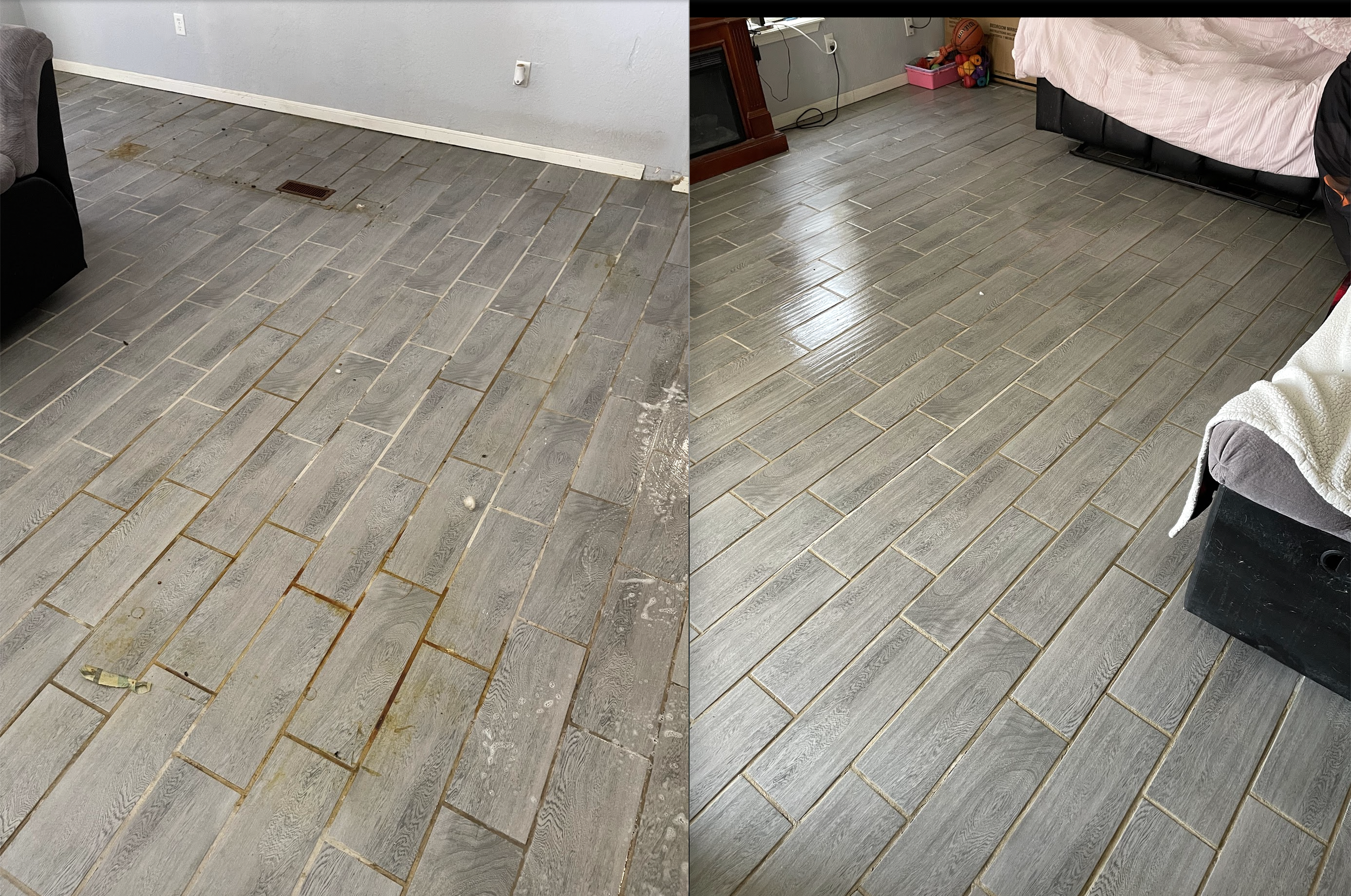 Pet Stain & Odor Removal