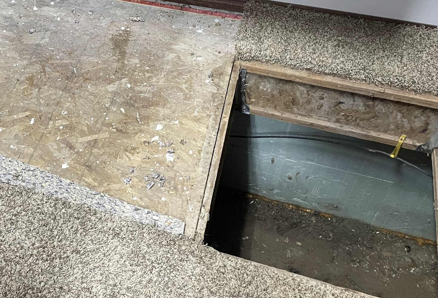 Professional Carpet Repair