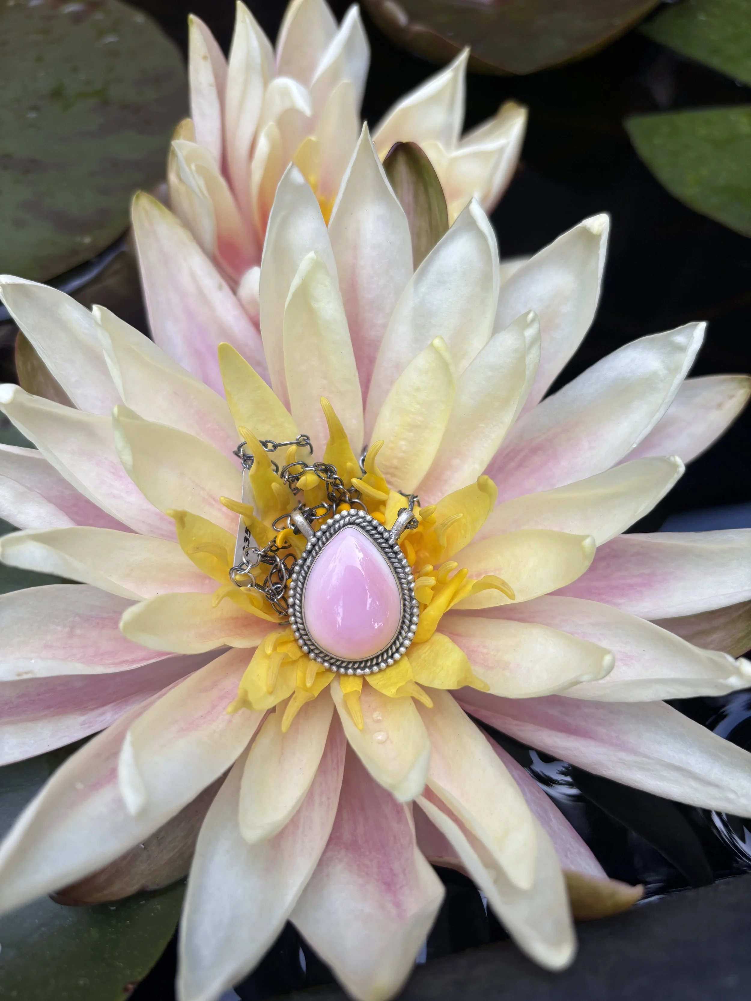 Sterling & Pink Conch Necklace