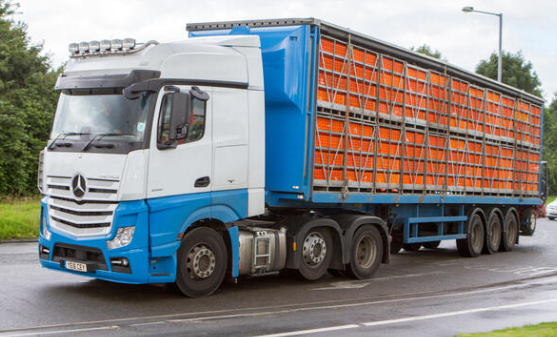 A large blue and white semi-truck with an open-sided trailer carrying orange crates, parked on a road with trees and a lamp post in the background.