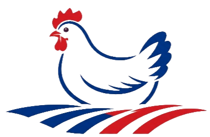 Colorful, stylized cartoon rooster standing on a curved surface with a black background.