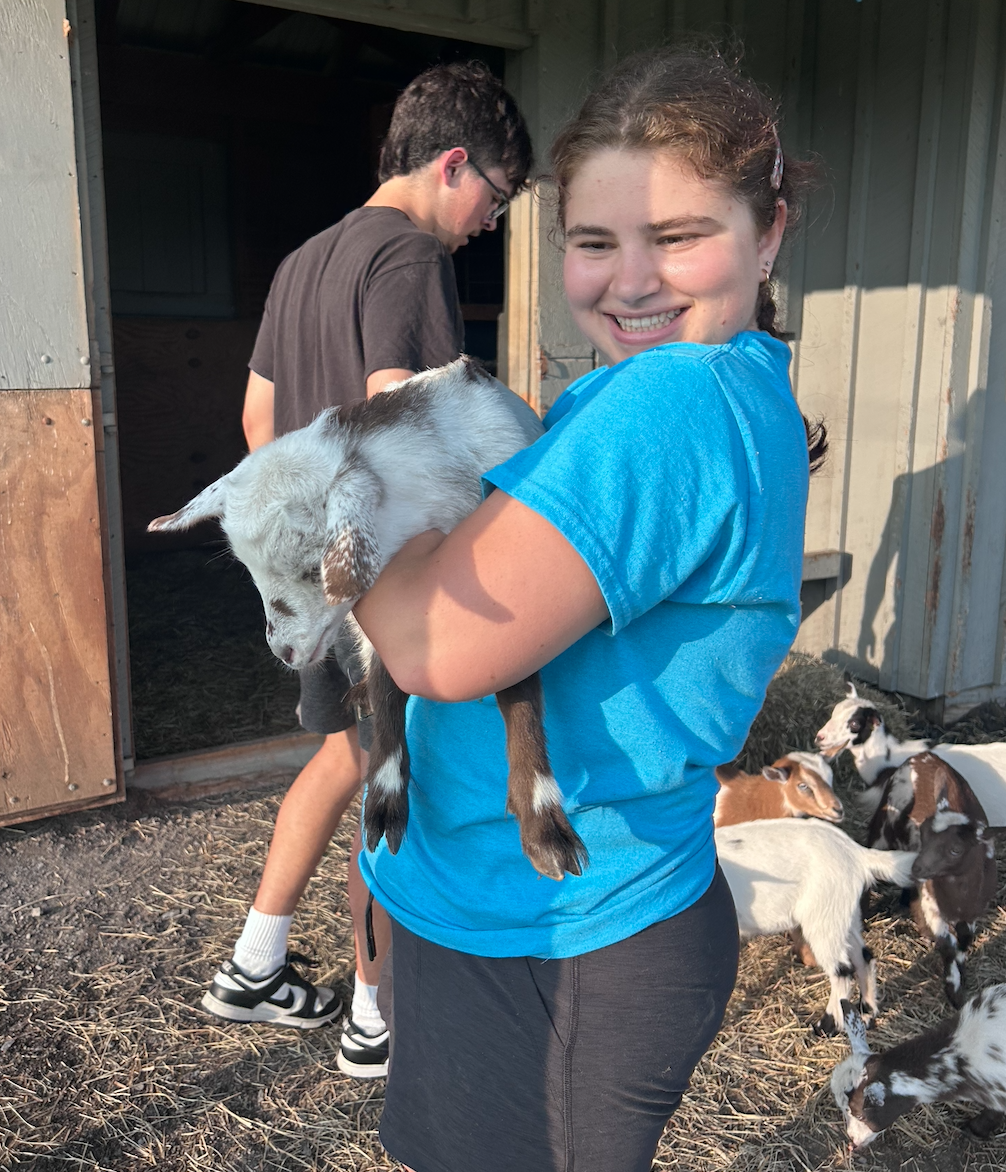 Goat Cuddle Session