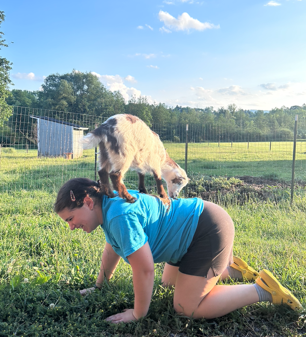 Goat Yoga