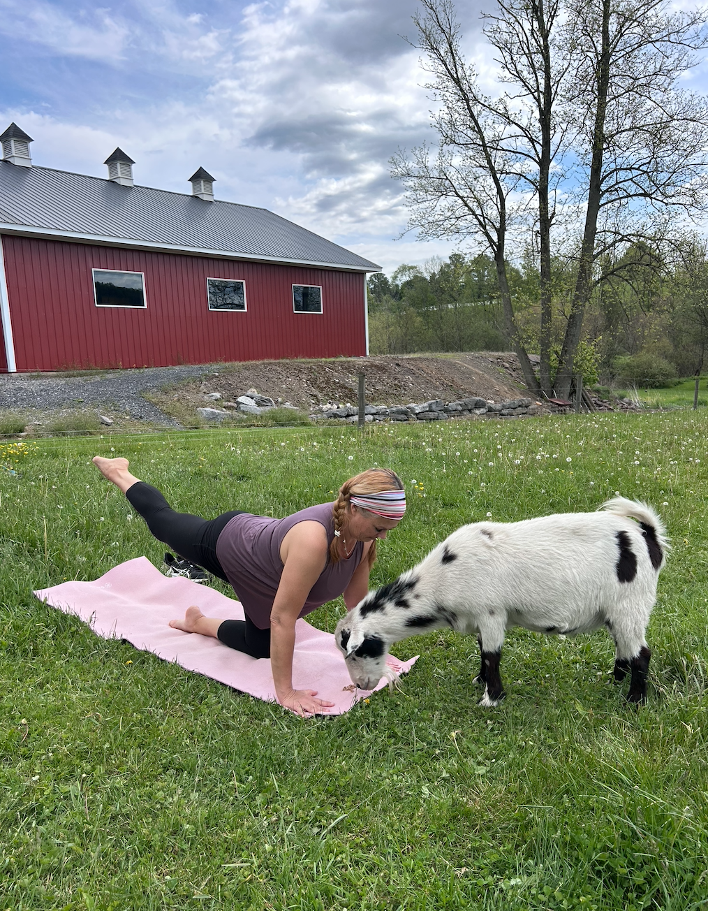 Full Moon Goat Yoga