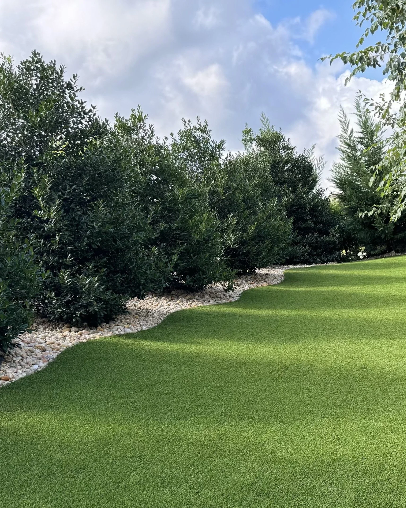 LANDSCAPE TURF