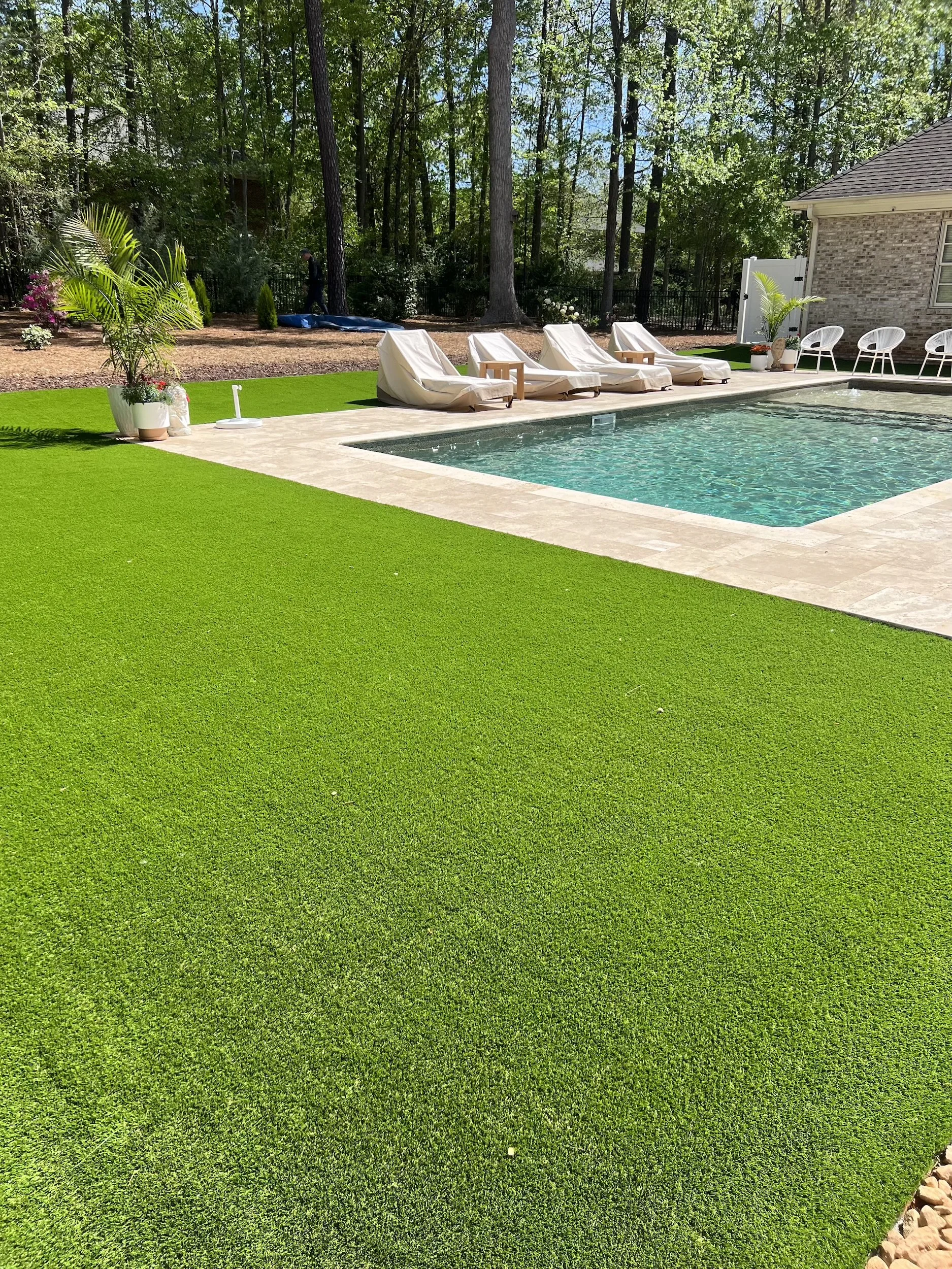 A backyard with a swimming pool surrounded by a concrete deck, several lounge chairs with white covers, potted plants, and a grassy area with trees and a house in the background.