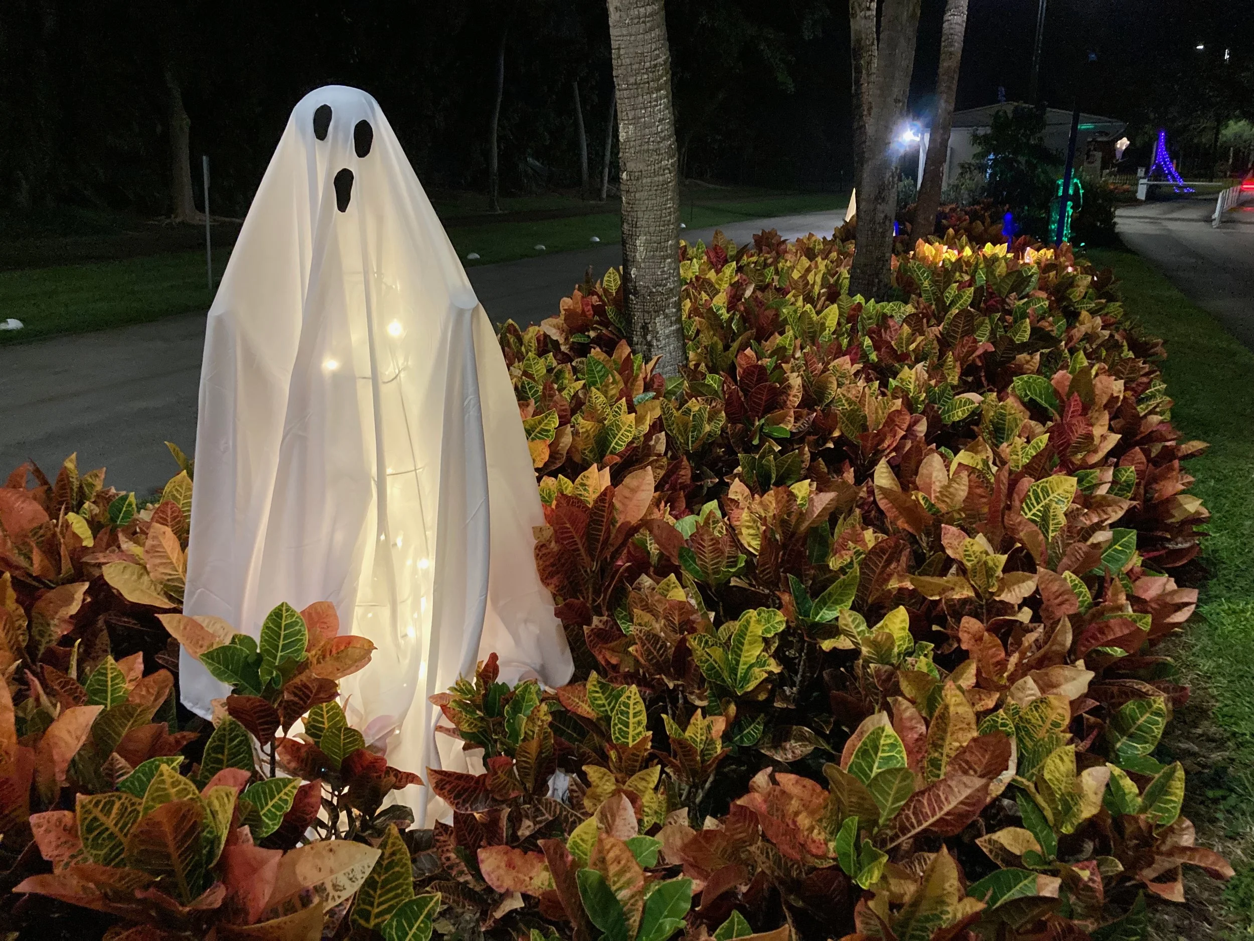 A ghost decoration with a white sheet and black eye and mouth cut-outs, surrounded by colorful bushes at night.