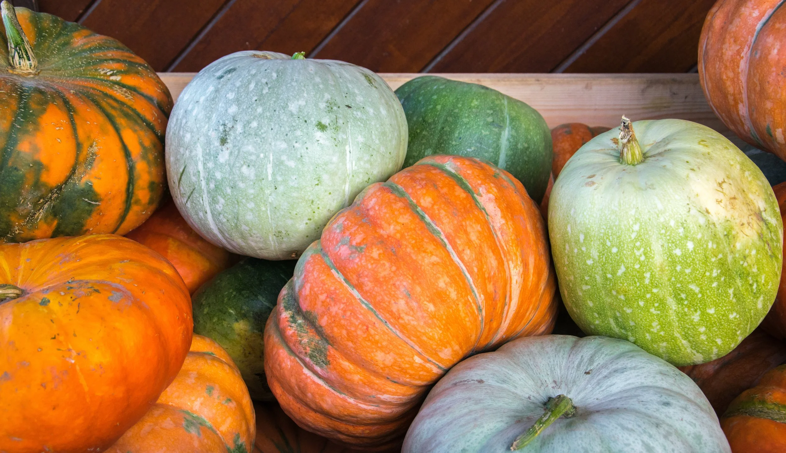 AdobeStock_228925296.jpeg