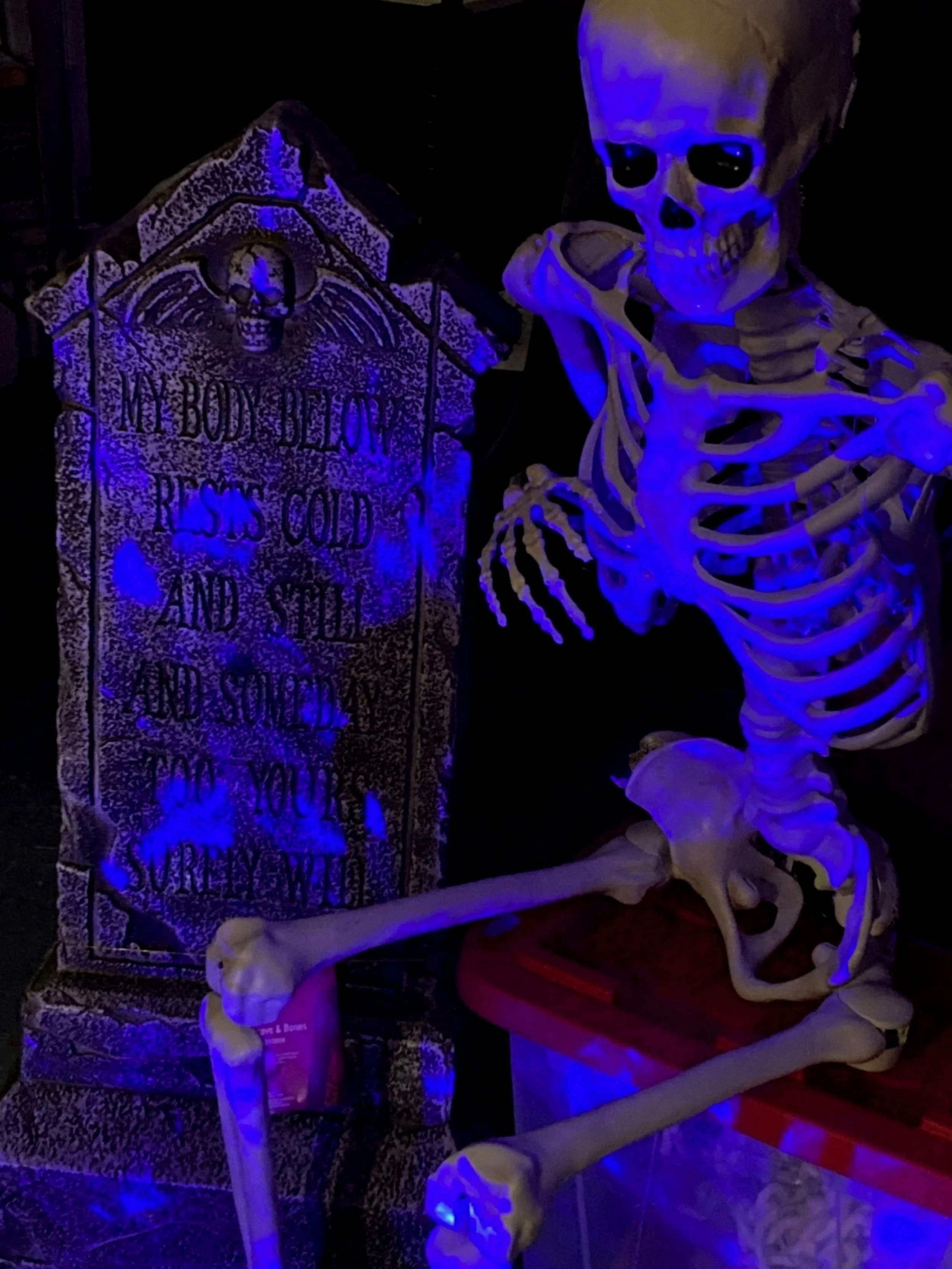 Halloween decorating services