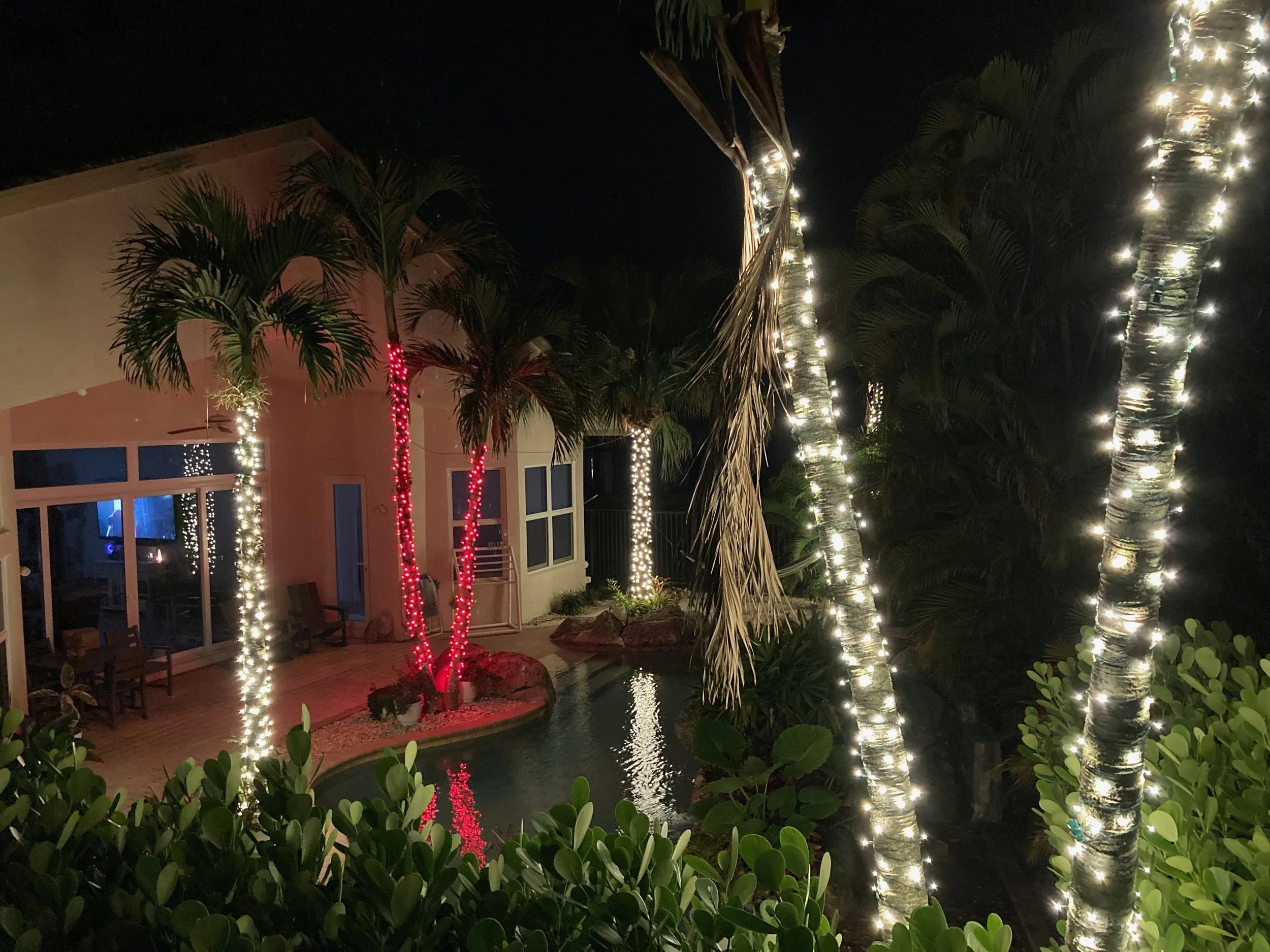 Nighttime backyard scene with palm trees wrapped in string lights and some trees decorated with red lights, house with large window, and a pool reflecting the lights.