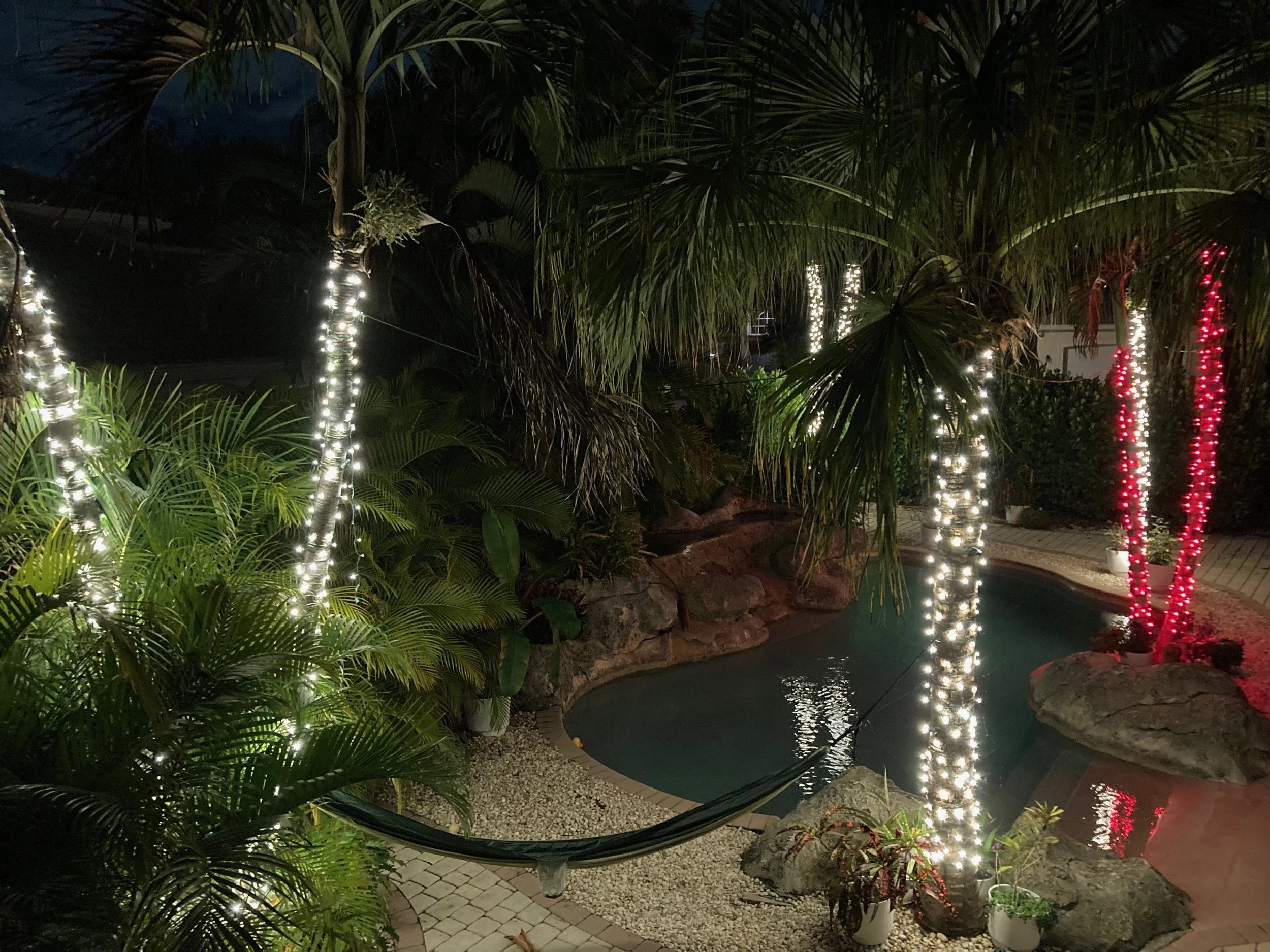 Outdoor garden at night with palm trees decorated with string lights in white and red. A small pond or pool reflects the lights, and there are potted plants, rocks, and brick pathways.