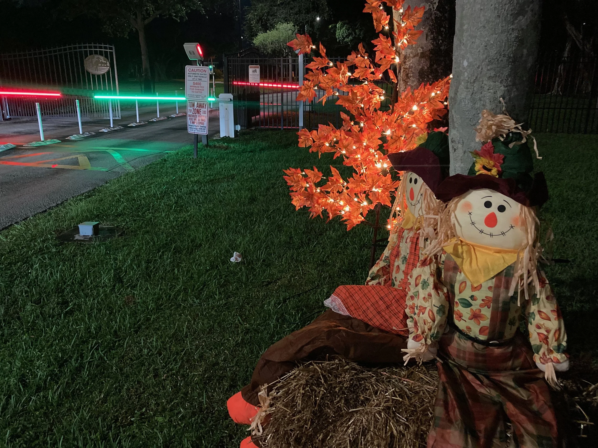 Decorative fall-themed Halloween display outdoors at night, featuring a scarecrow figure with a pumpkin face, orange leaves, and string lights. There are signs and parking barriers in the background.