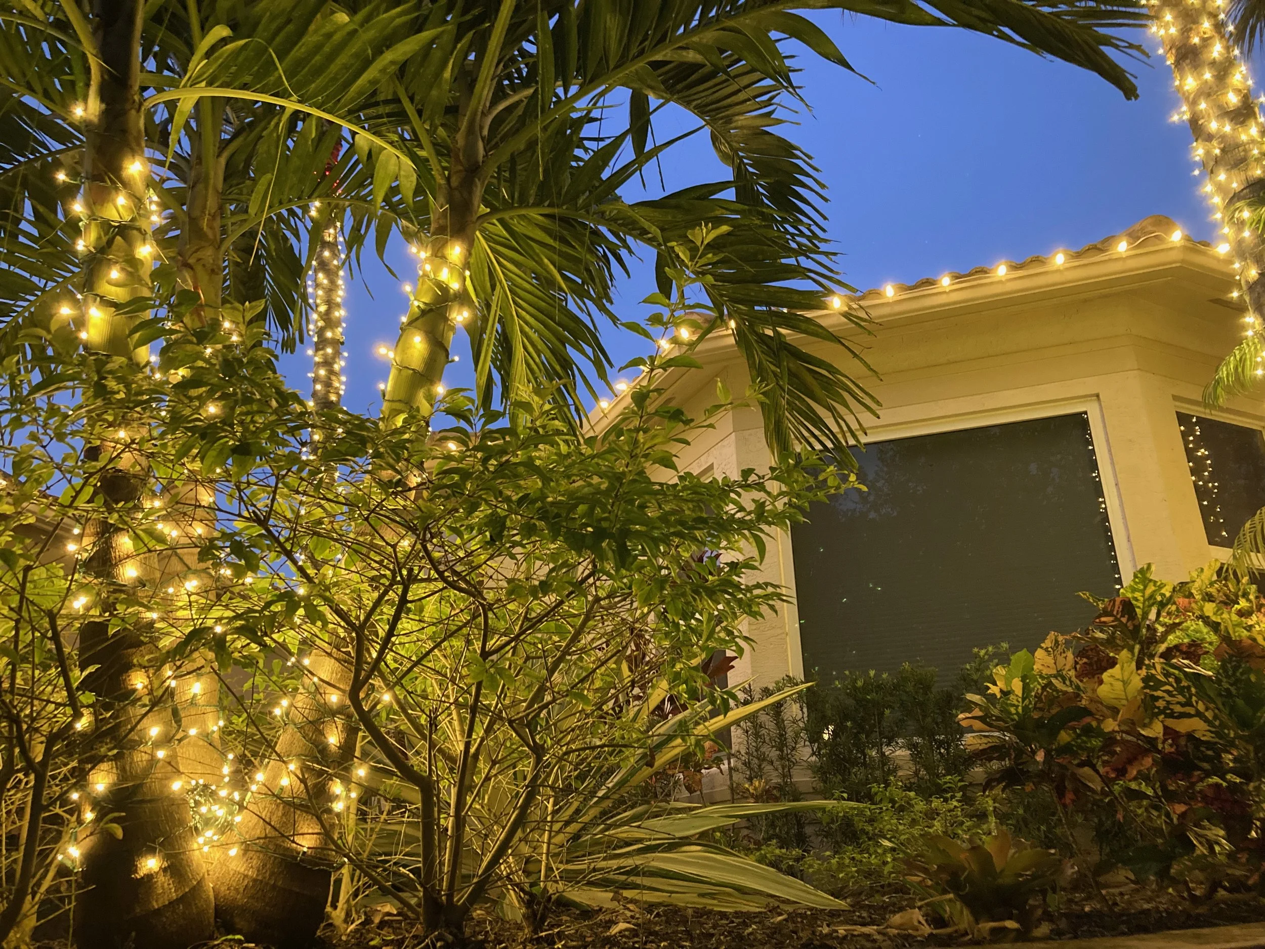 Christmas decorating services