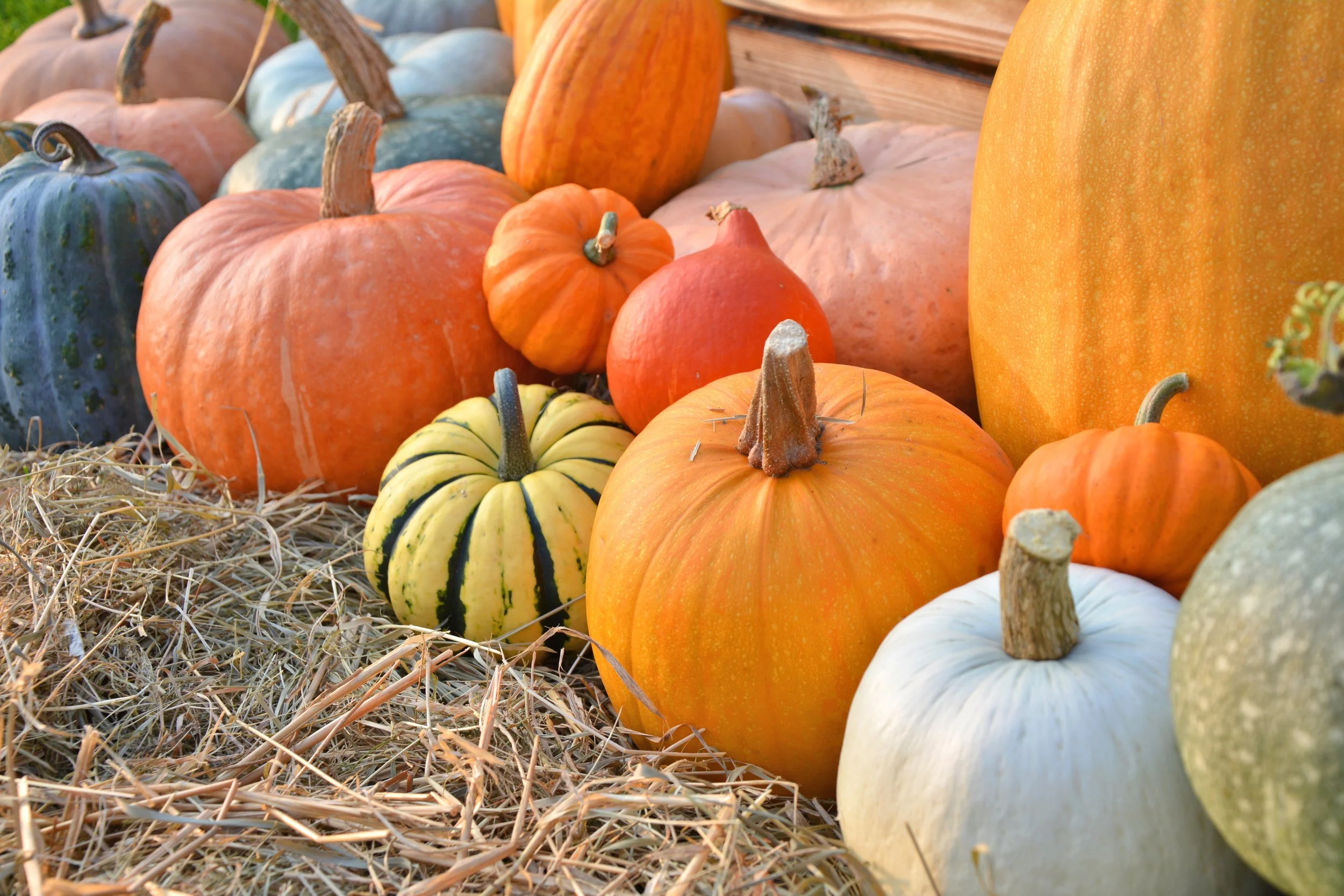 AdobeStock_295843617.jpeg