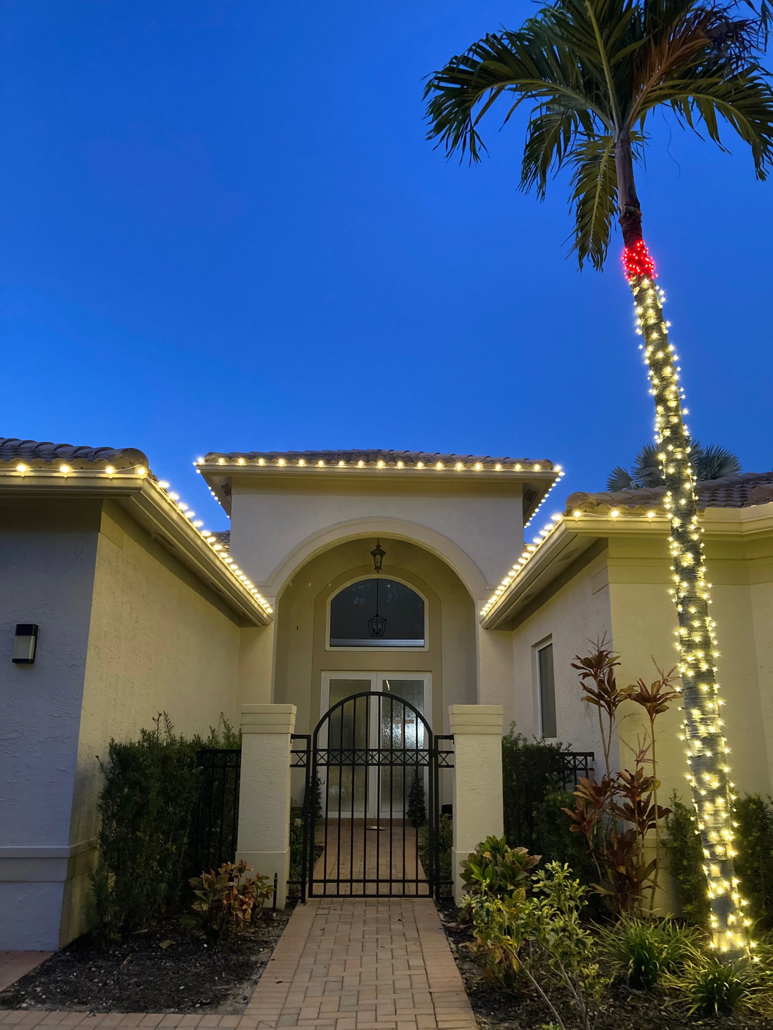 A house with decorations, including lights outlining the roof and a palm tree wrapped with string lights, against a twilight sky.