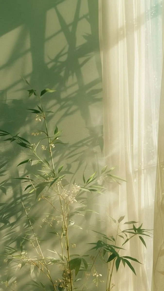 Sunlight filtering through a sheer curtain onto a green wall, casting shadows onto indoor greenery.