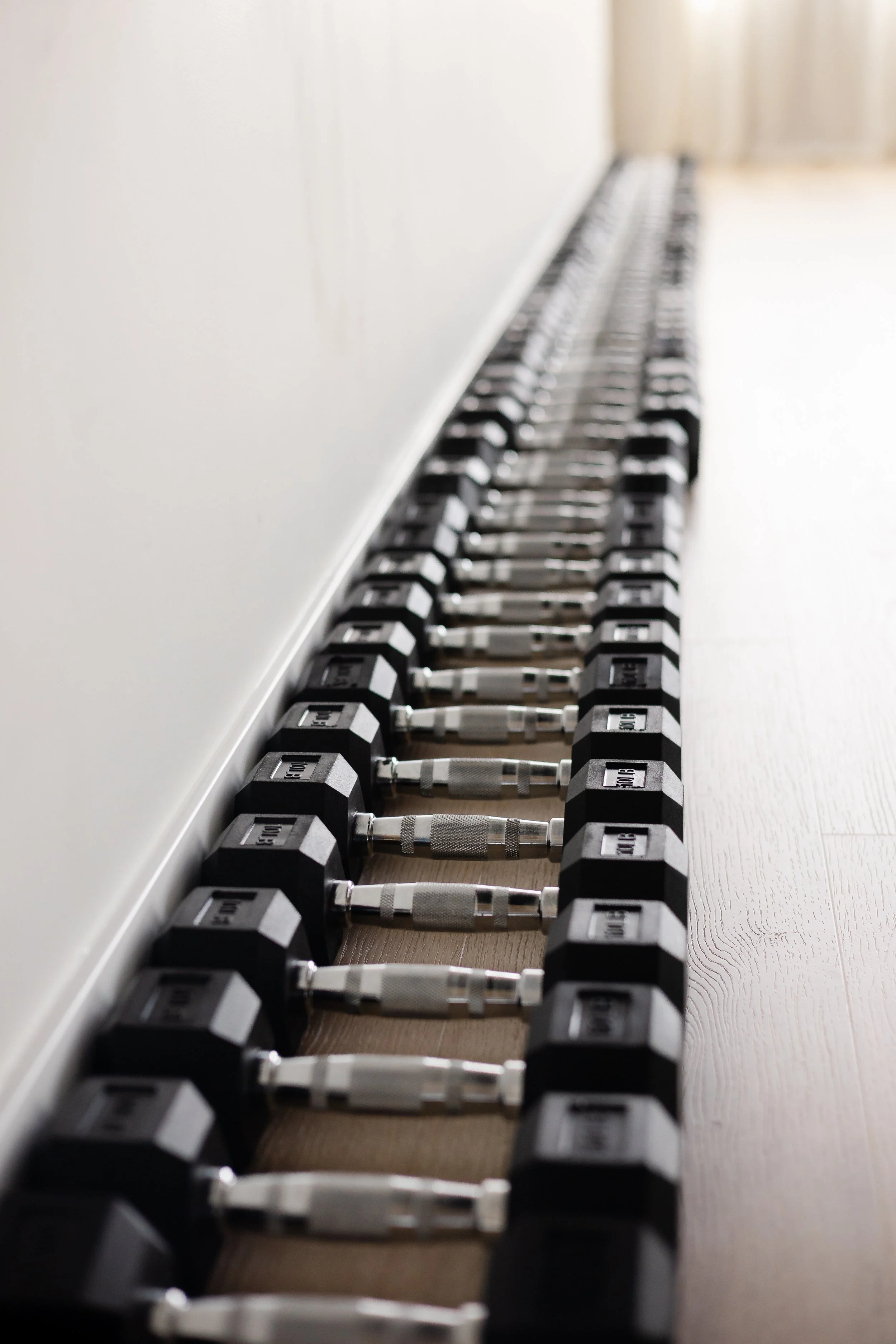 A row of black and silver dumbbells lined up on the floor along a white wall in a gym.