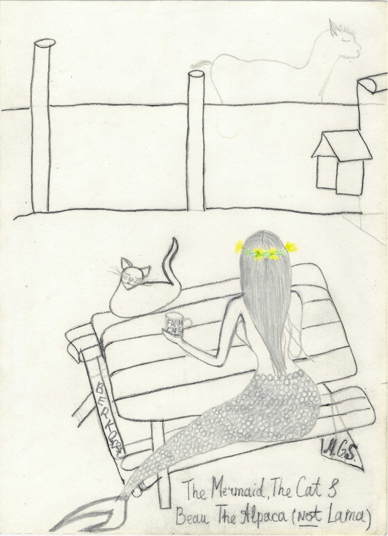 The Mermaid, The Cat & Beau The Alpaca. Pencil Drawing.