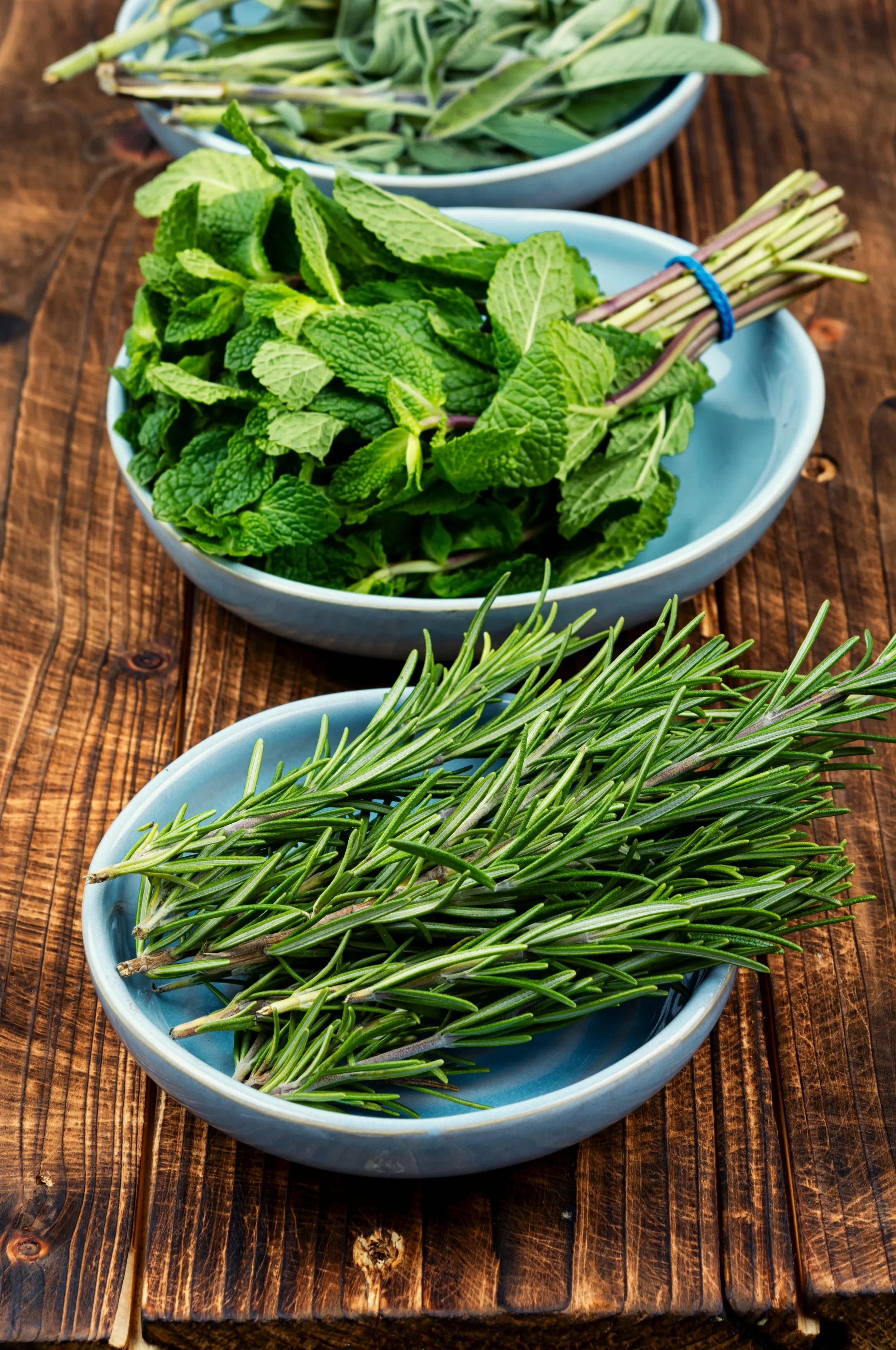 Three white bowls filled with fresh herbs, including mint, rosemary, and sage, placed on a rustic wooden surface.
