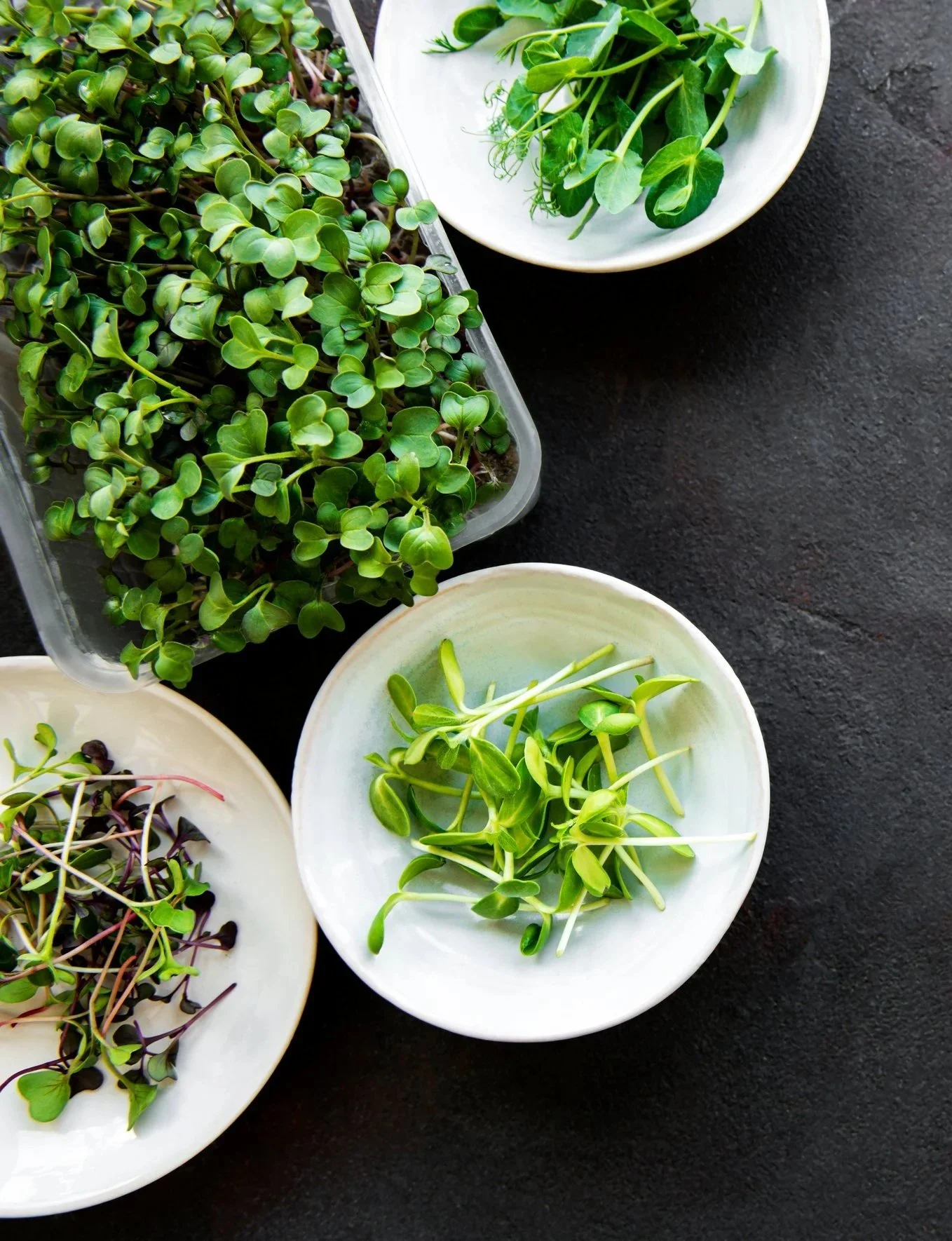 Various fresh microgreens and small leafy greens arranged in white bowls on a black surface.