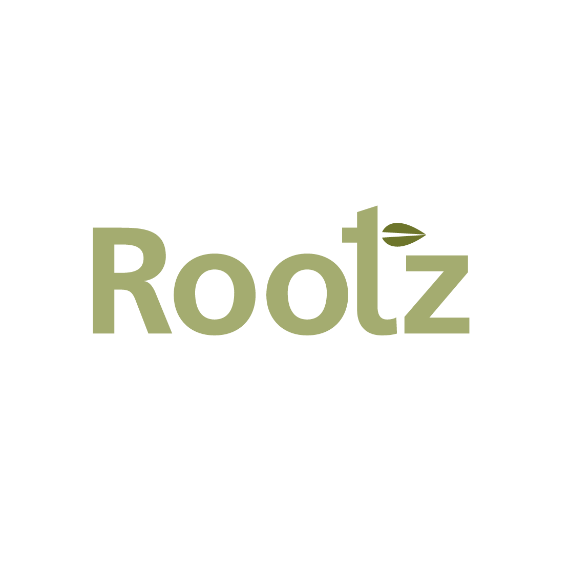 Logo with the word 'Rootz' in green lowercase letters, featuring a leaf on the letter 't'.