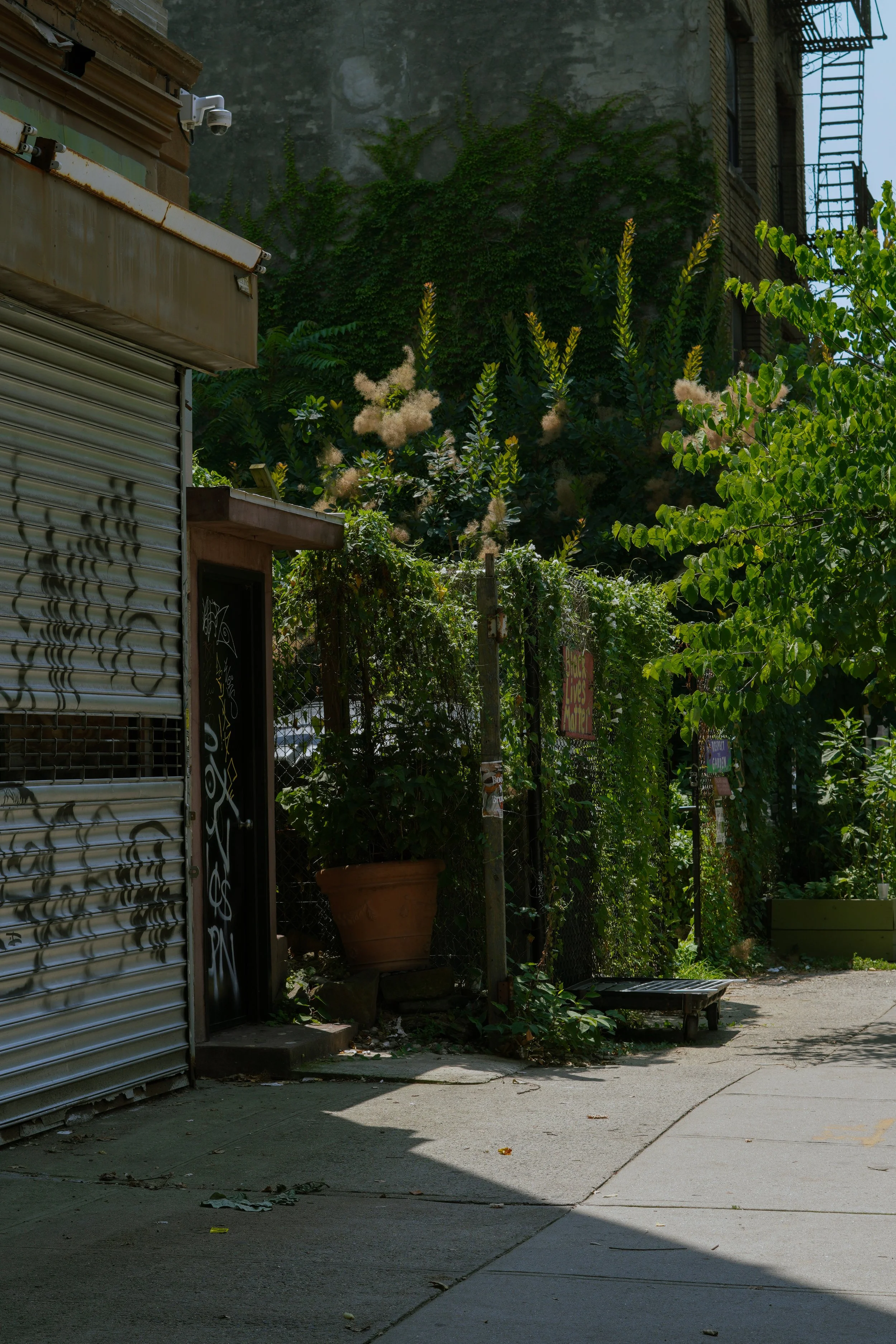 Urban alleyway with a partially closed metal shutter, a security camera, and lush greenery including potted plants, vines on a wall, and trees.