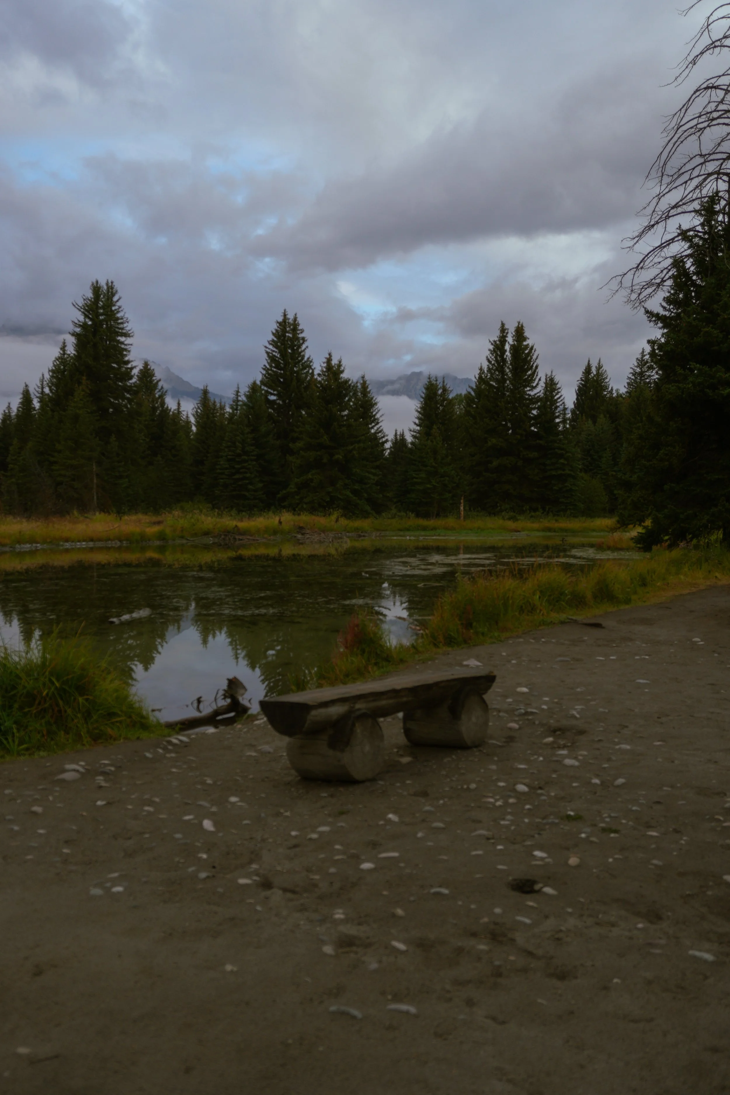 A natural landscape featuring a serene river in the foreground, lush green pine trees in the middle ground, and mountains shrouded in clouds in the background under an overcast sky.