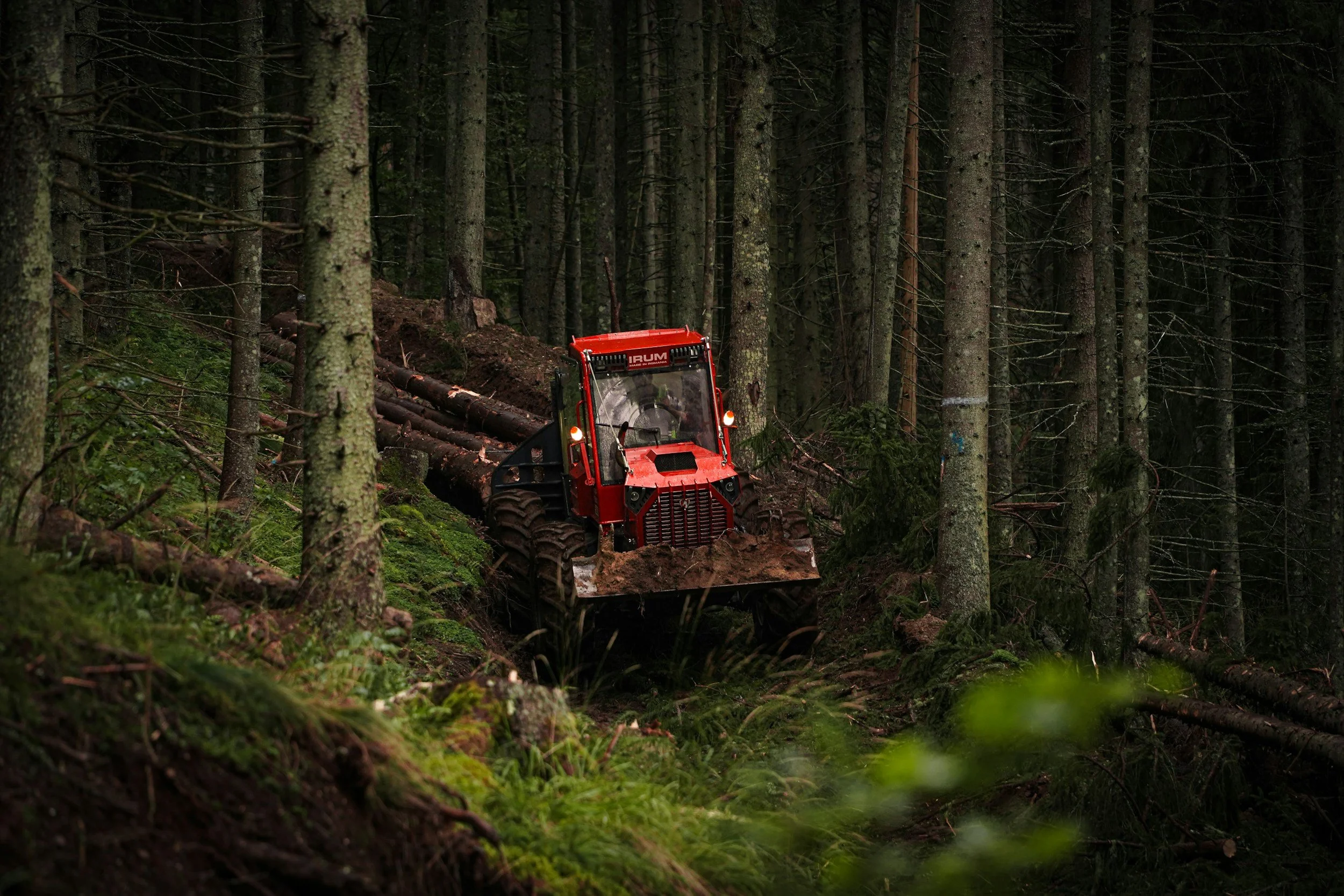 Red forestry bulldozer clearing trees in a dense forest.