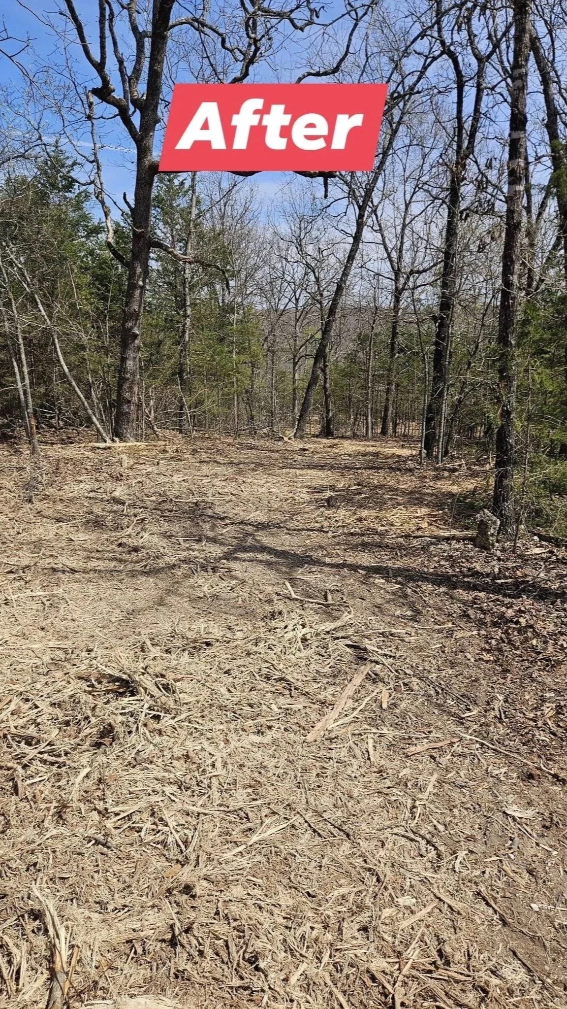 A dirt trail through a wooded area with leafless trees and a blue sky.