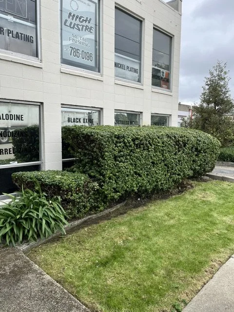 Bush Trimming