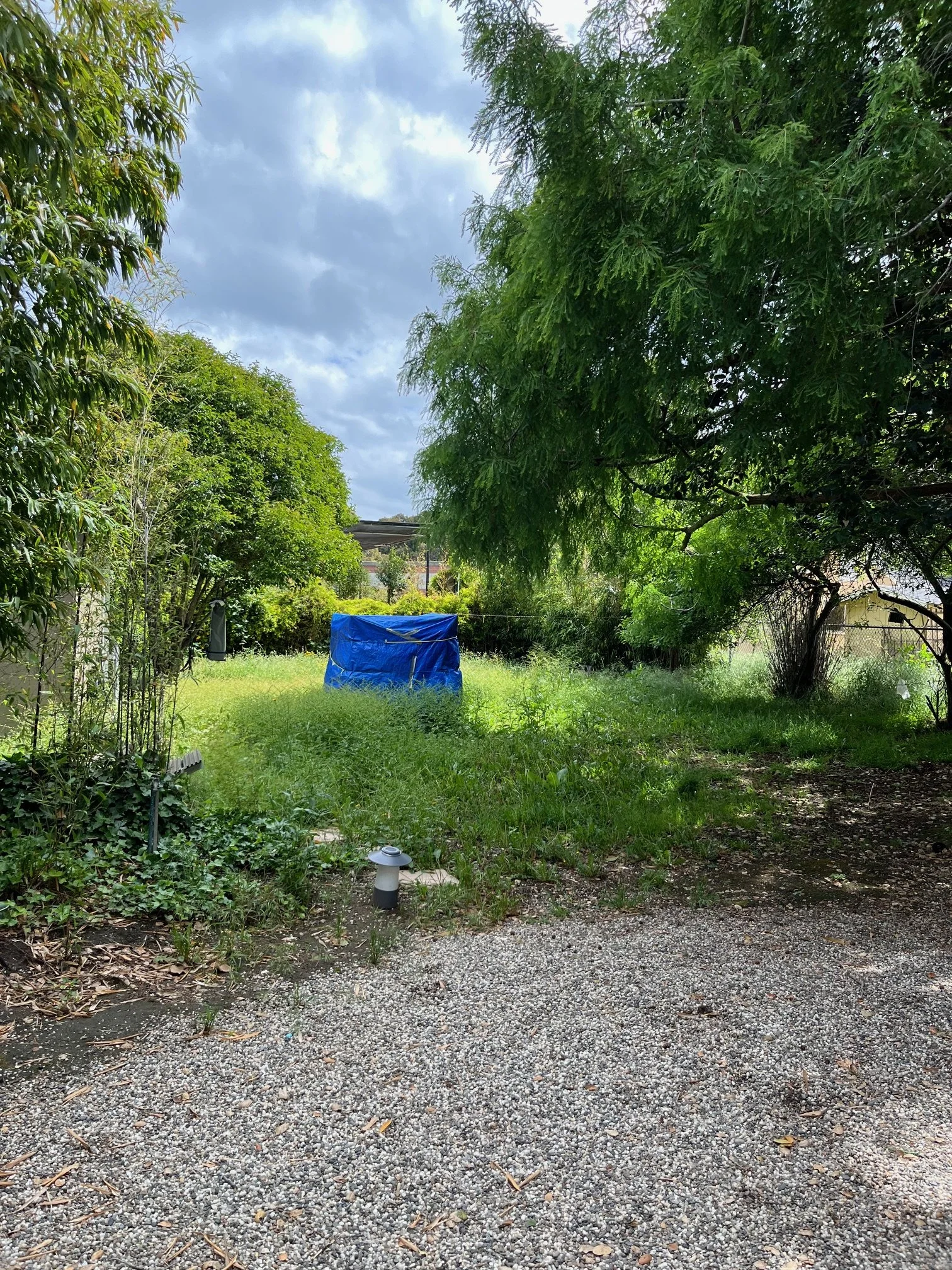 image2 (1).jpeg