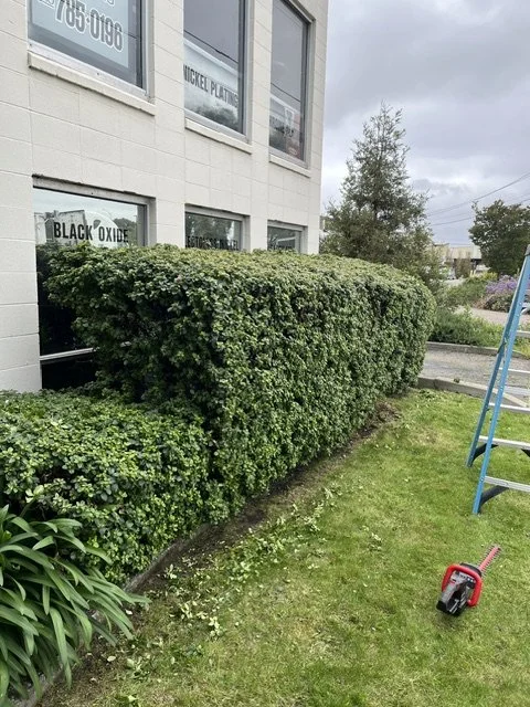 image1 (2).jpeg