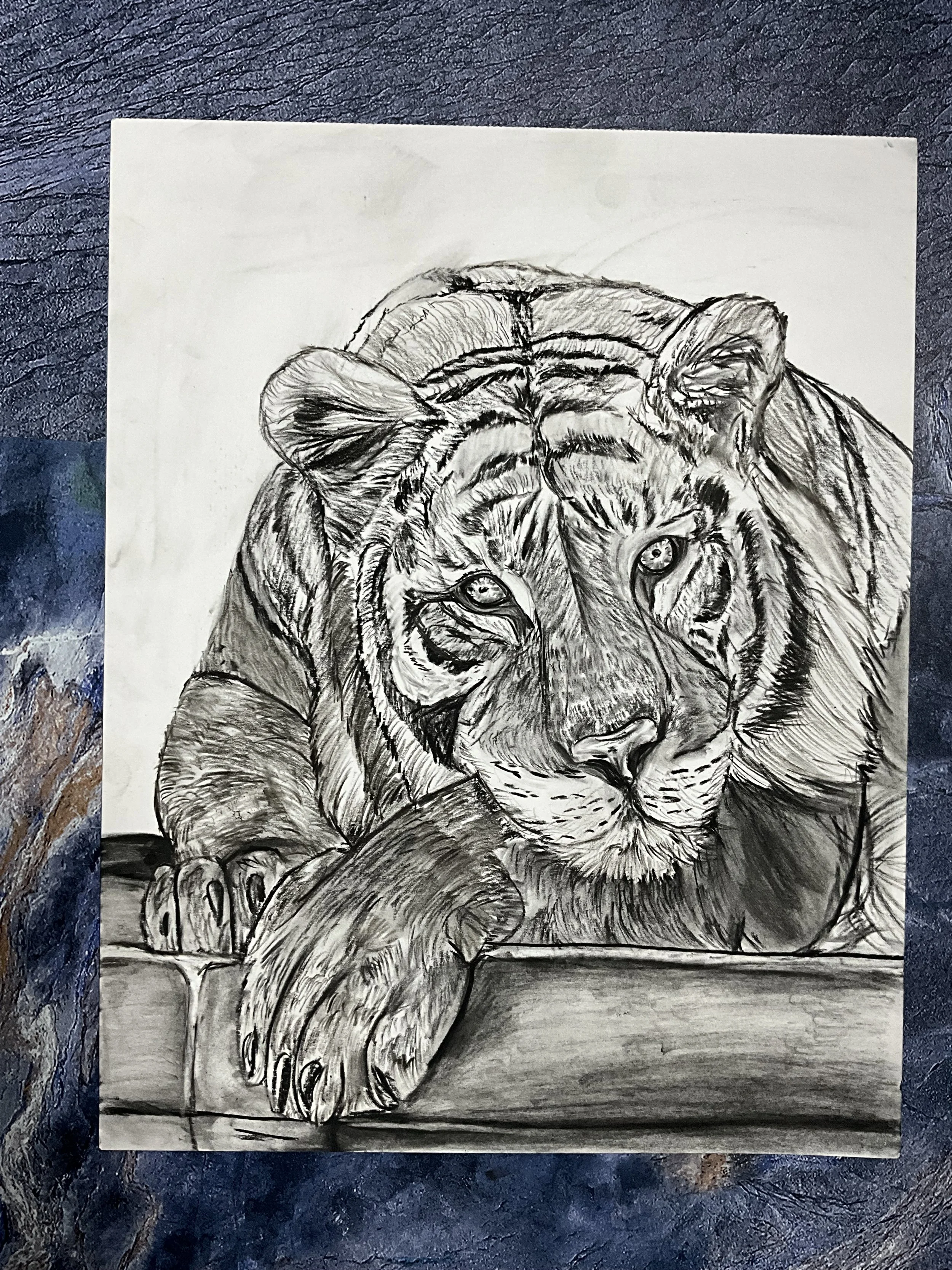Amazing Bengal Tiger Charcoal Drawing | 11"×14" Original Wildlife Art