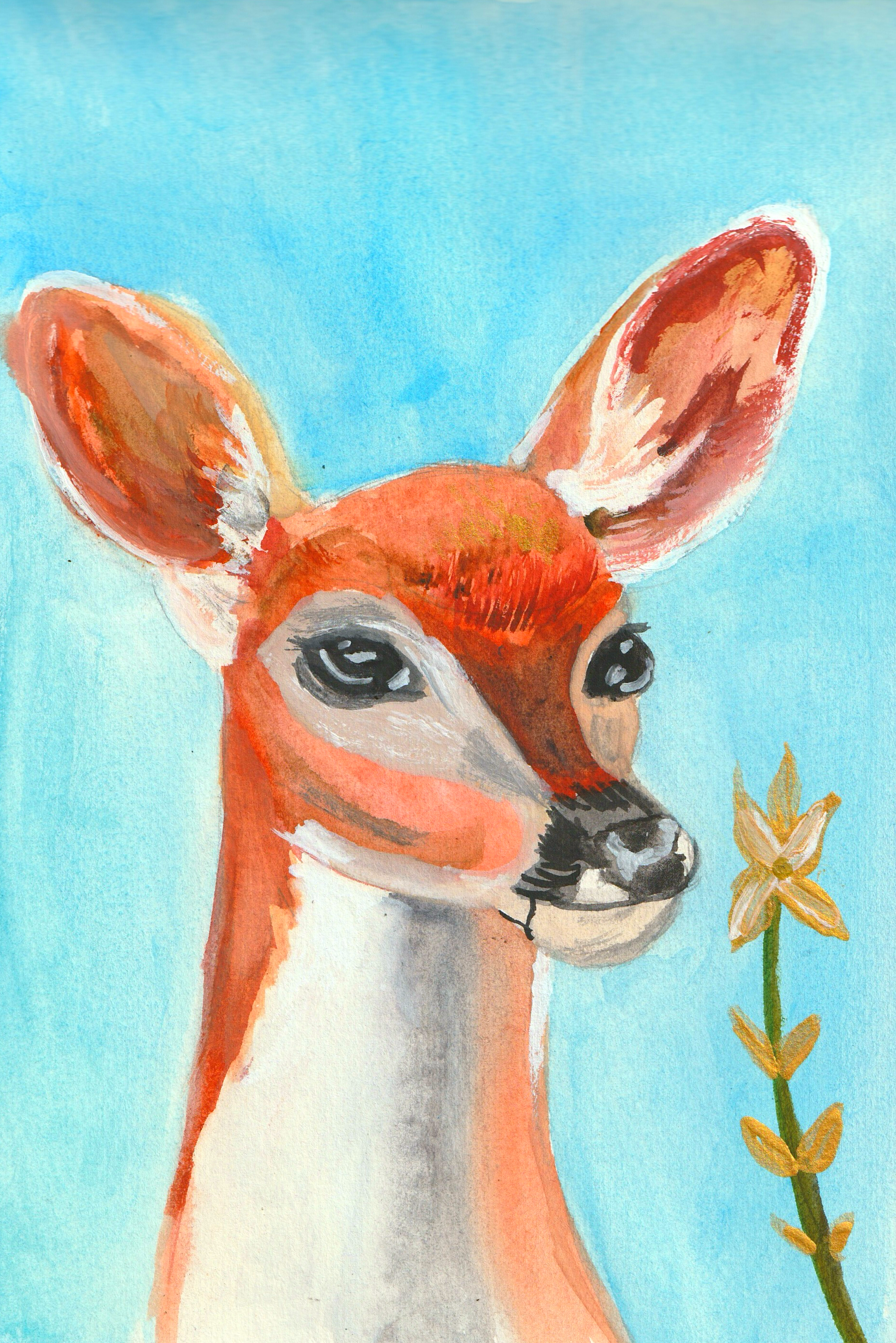 IMG_8546.PNG