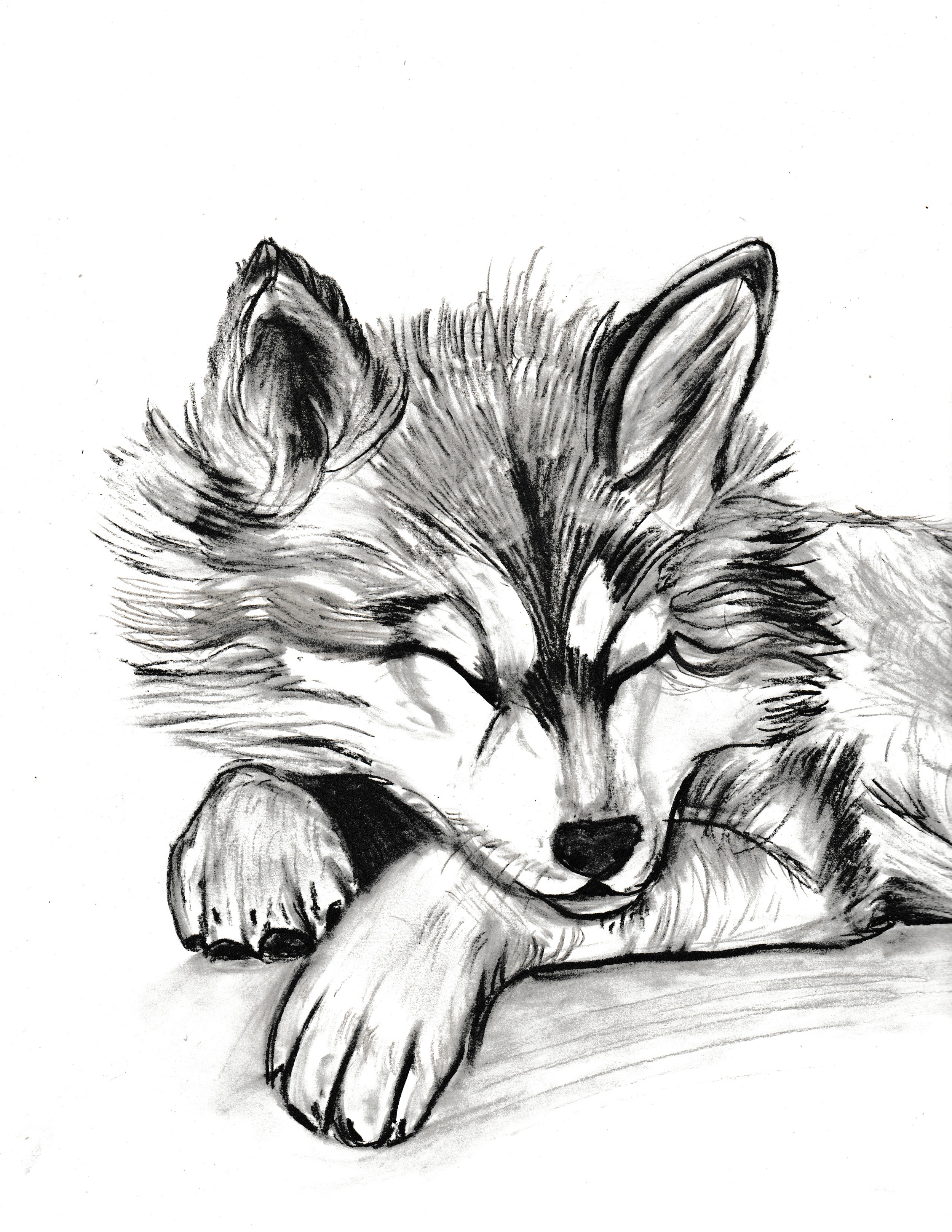 IMG_7871.PNG