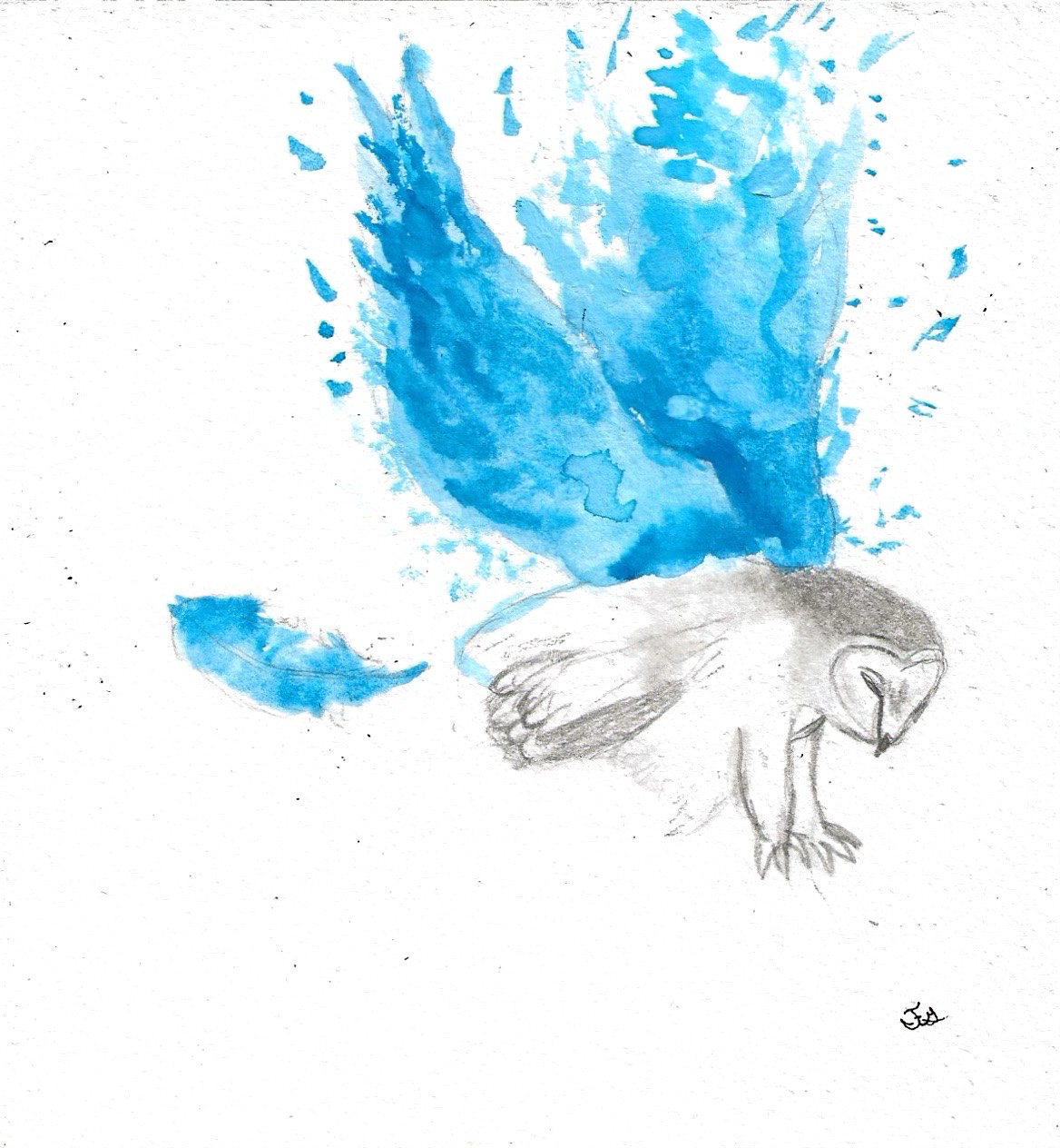 watercolor owl splash.png