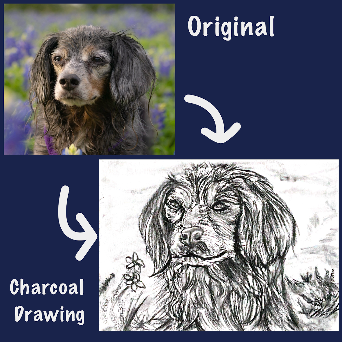 PET PORTRAIT DRAWINHS