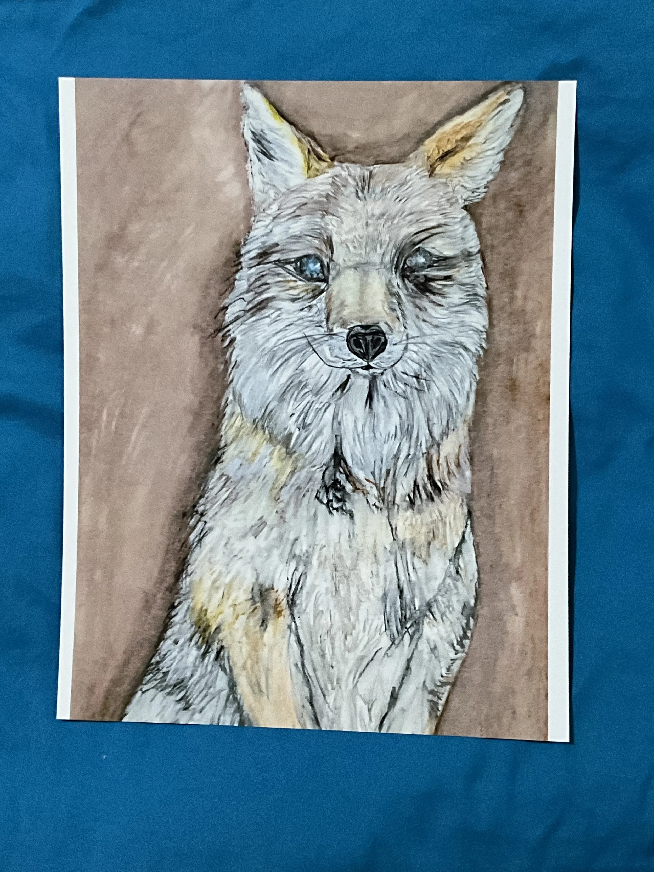 IMG_3542.jpeg