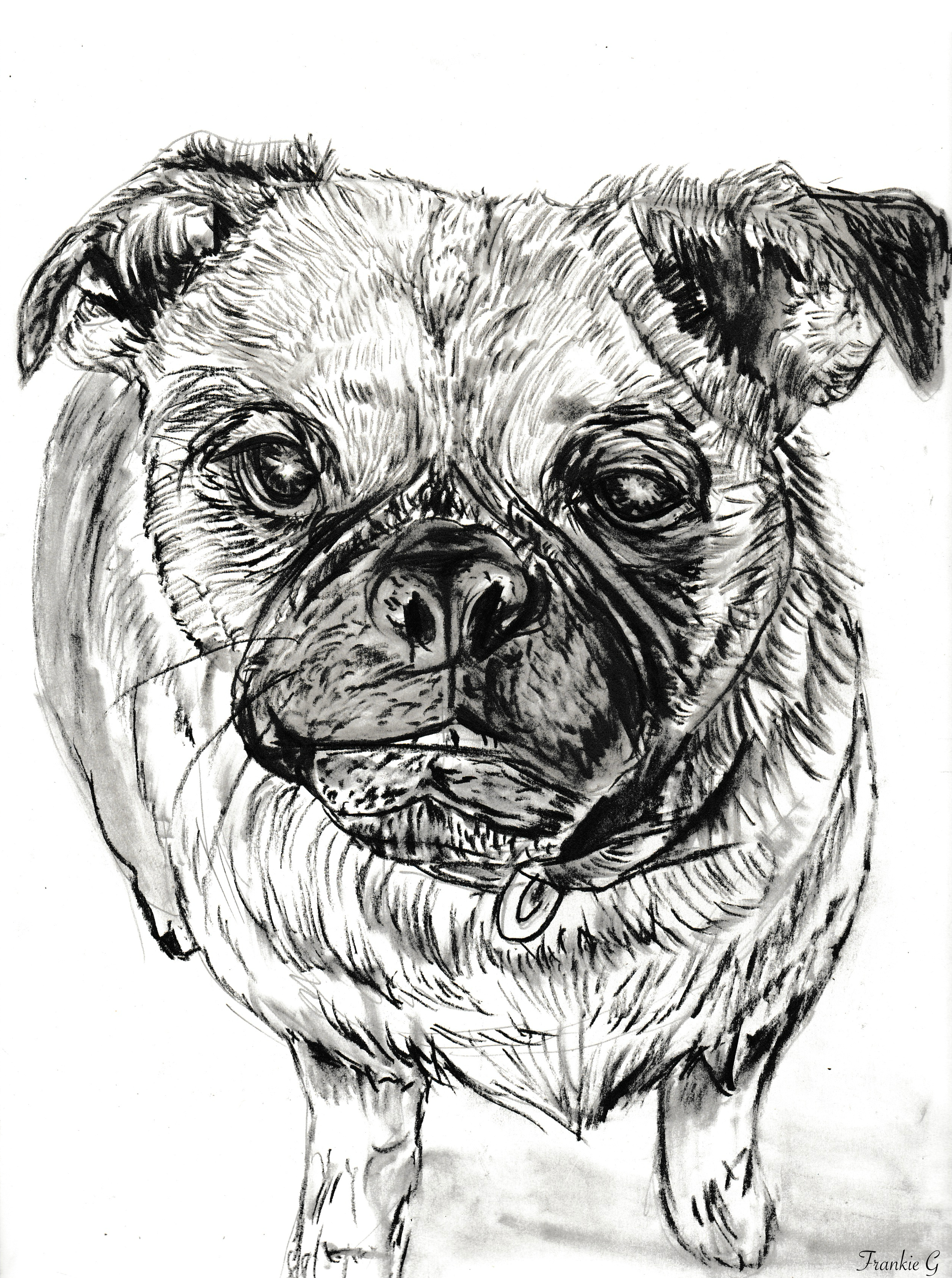 IMG_0049.PNG