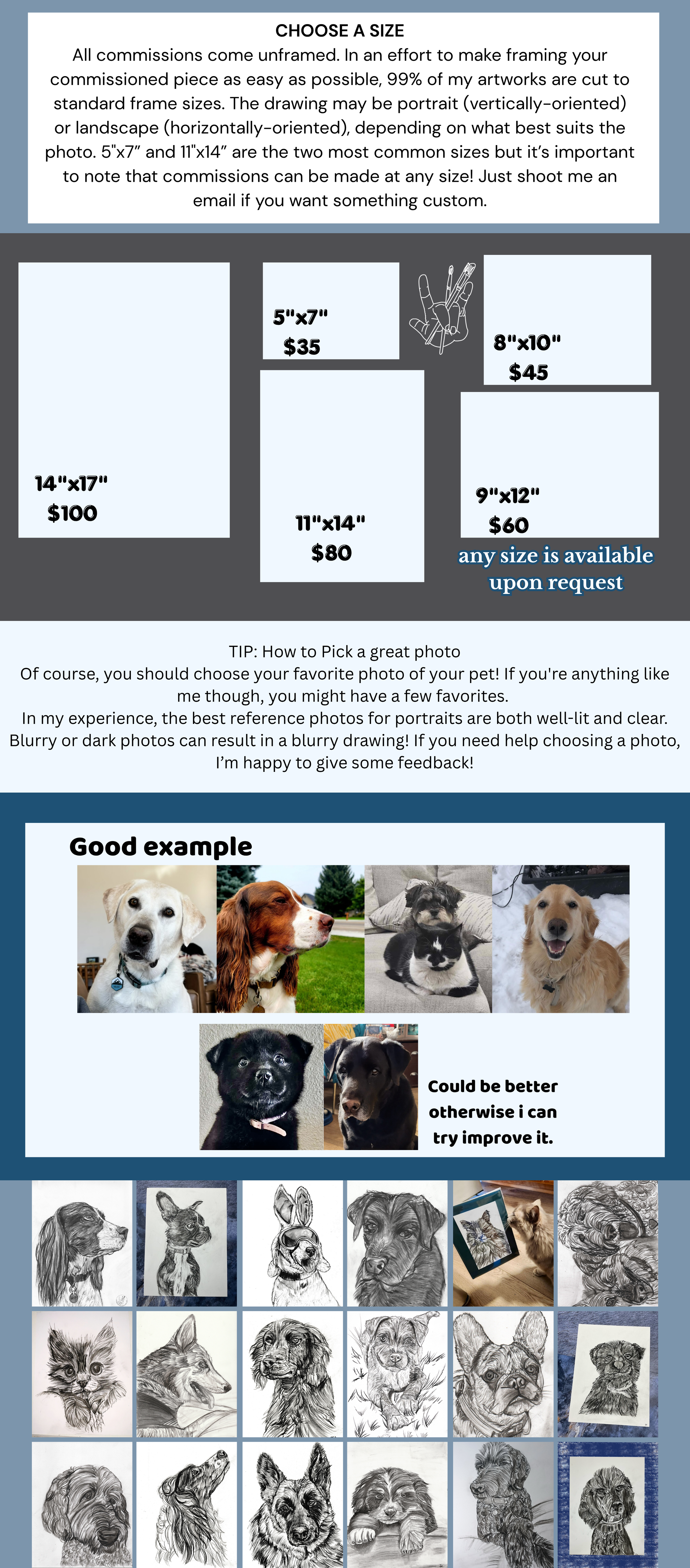 An informational poster about choosing a size for pet portrait commissions, displaying various photo sizes with prices and a sample of pet photographs and sketches, along with tips for selecting a good photo.